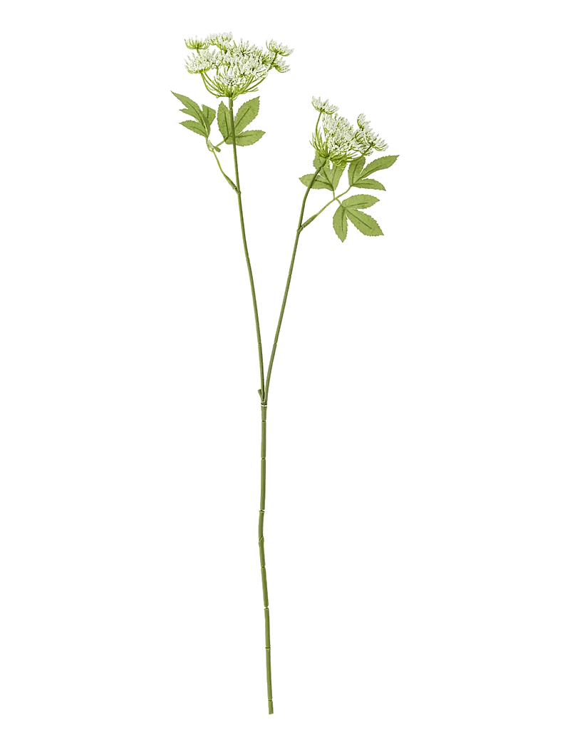 Bloomingville - Fennel Stem - valentinstaggeschenke - white - 1