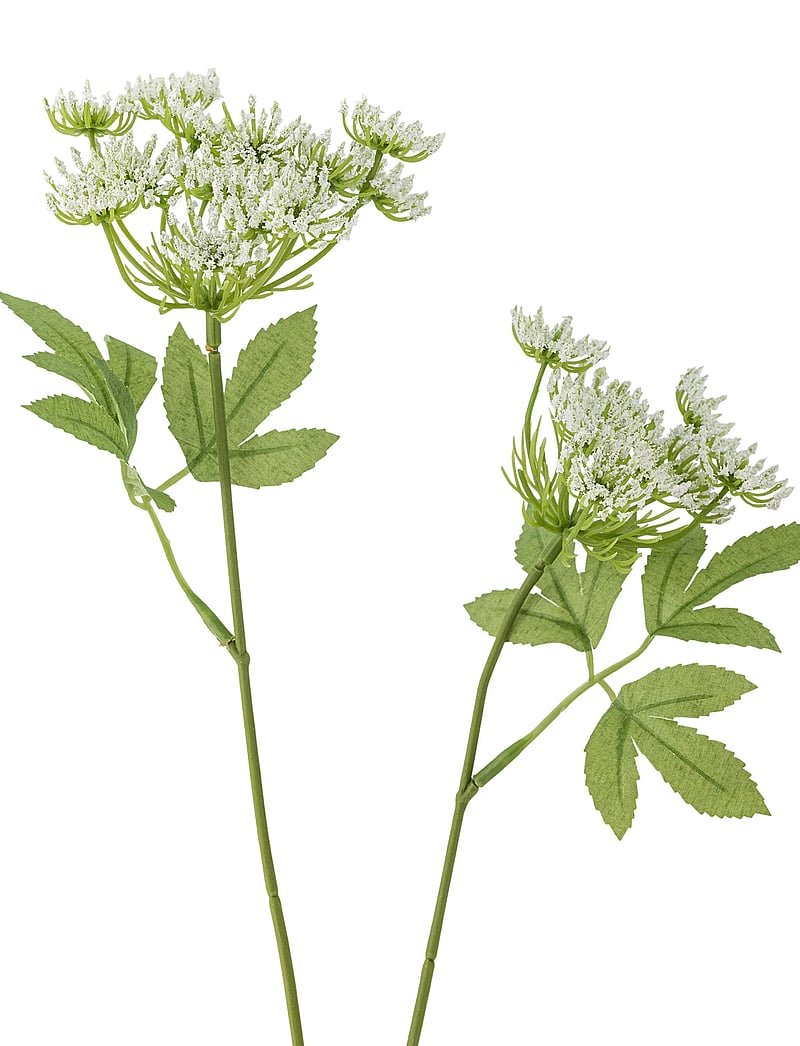 Bloomingville - Fennel Stem - valentinstaggeschenke - white - 3
