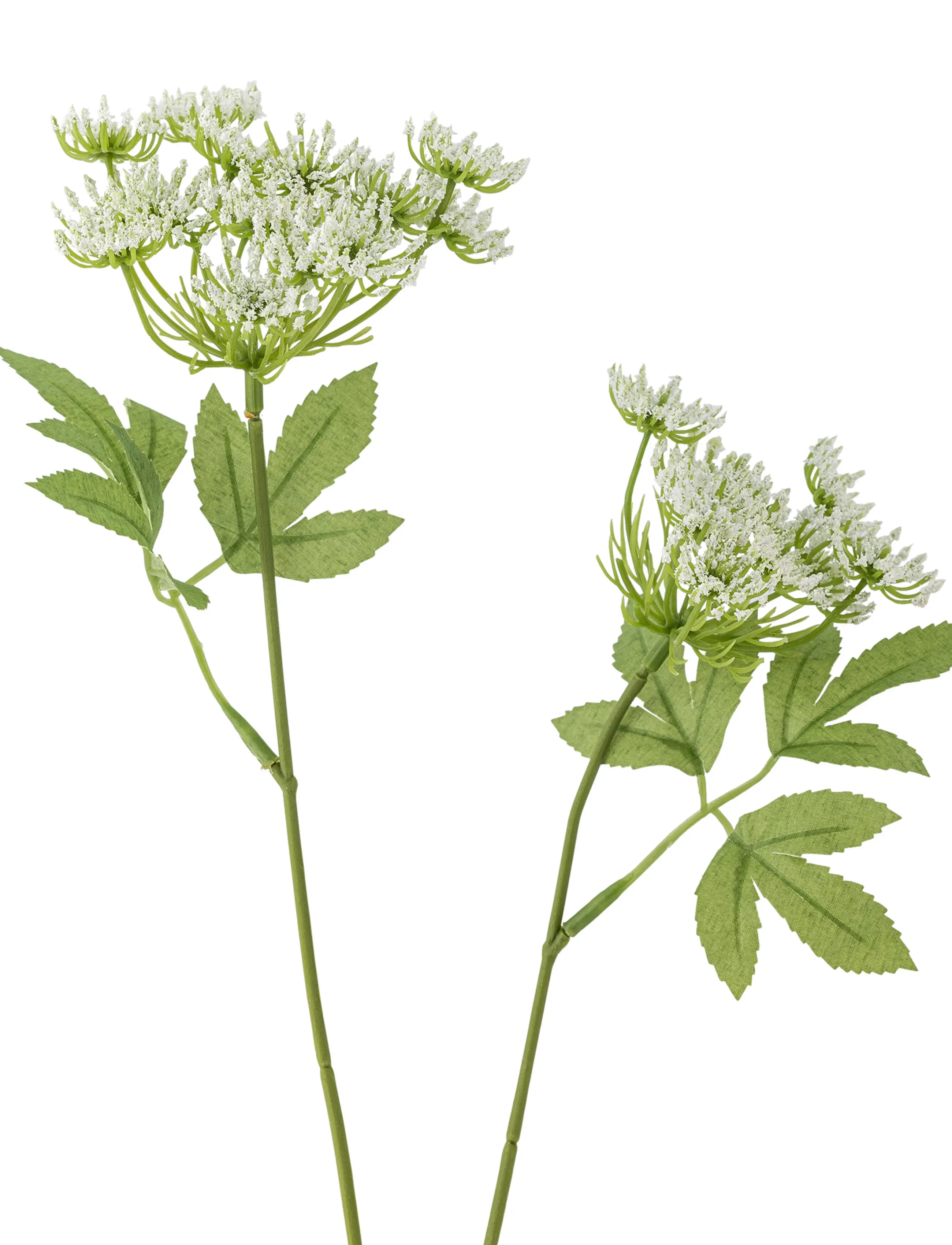 Bloomingville - Fennel Stem - valentinsgaver - white - 3