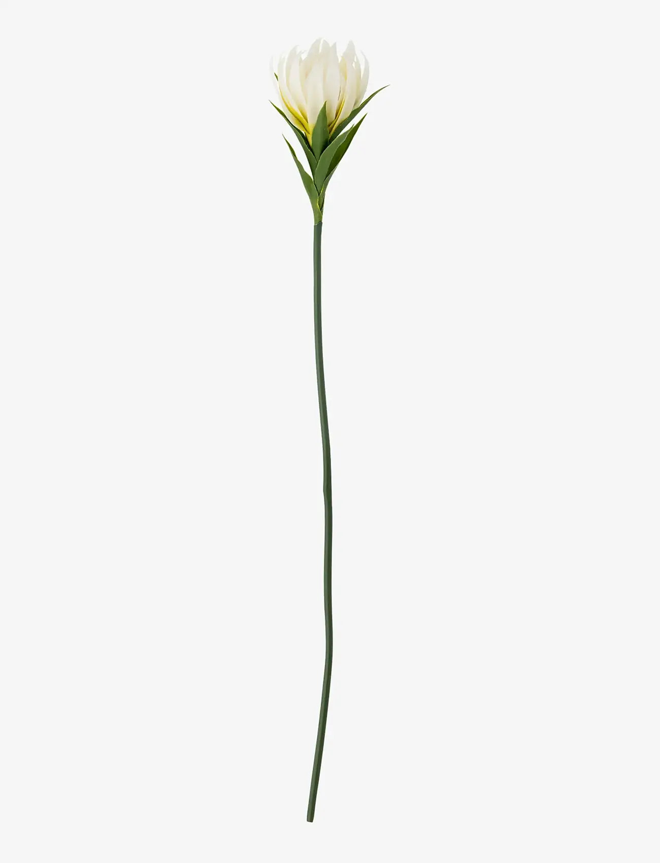 Bloomingville - Lily Stem - ystävänpäivälahjat - white - 1