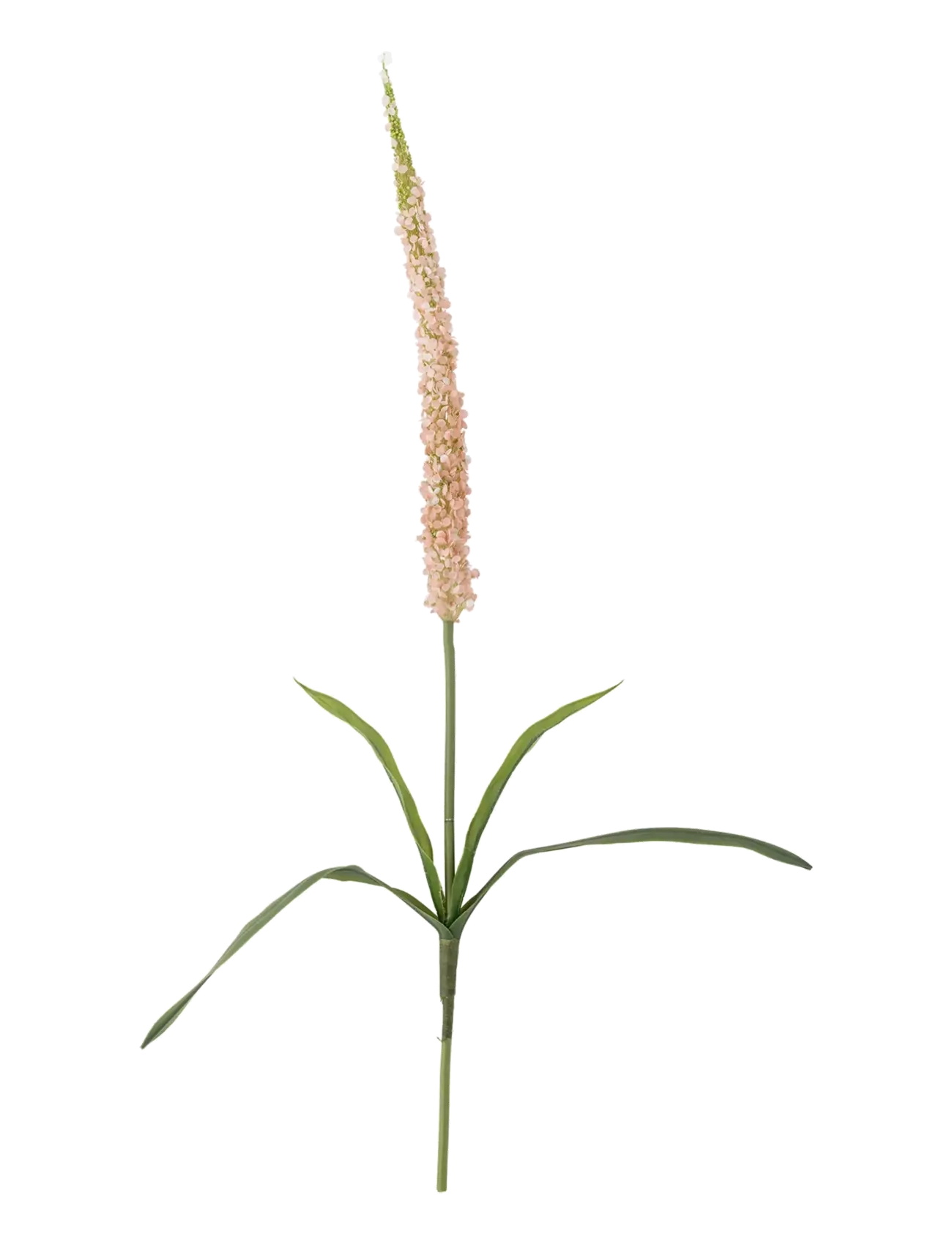 BLOOMINGVILLE Foxtail Stem Pink - H73CM - Unisex