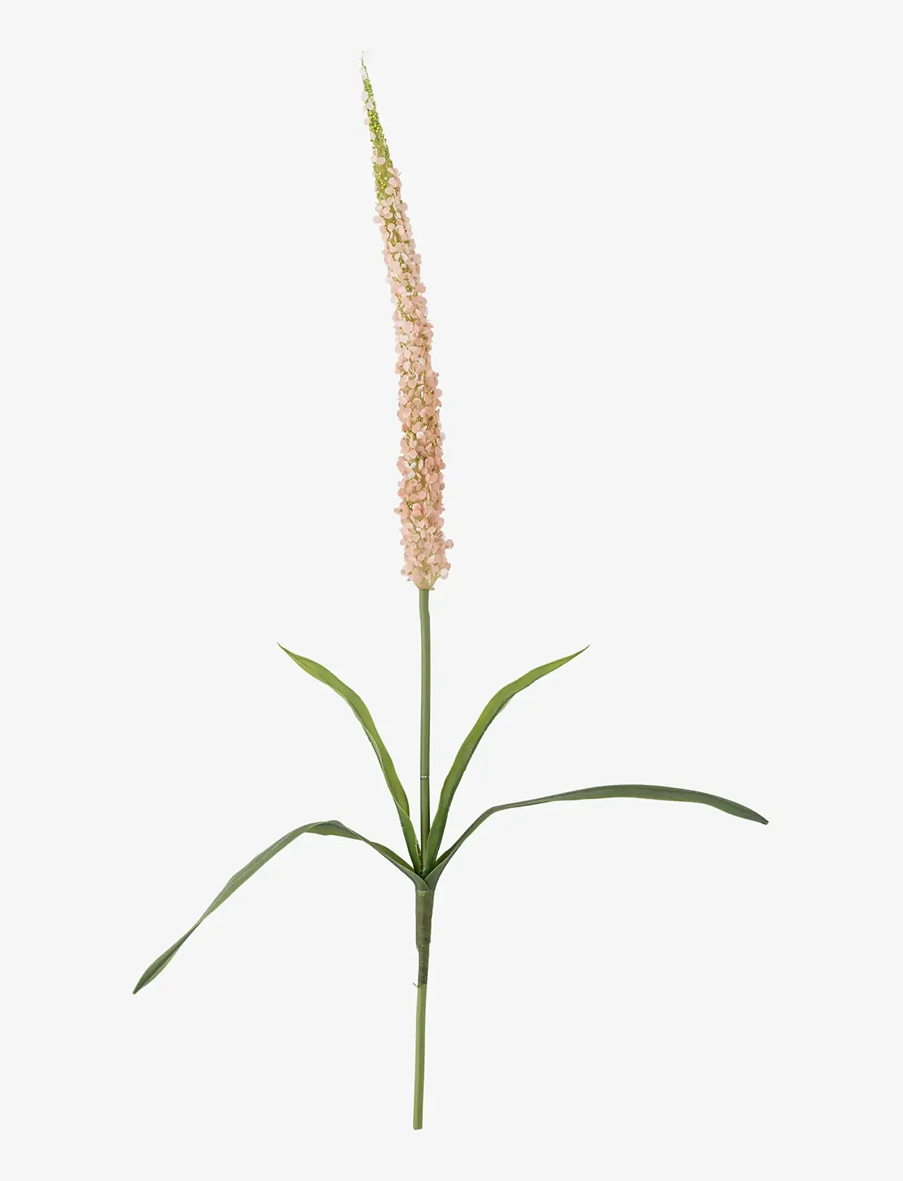 Bloomingville - Foxtail Stem - valentines day gifts - red - 1