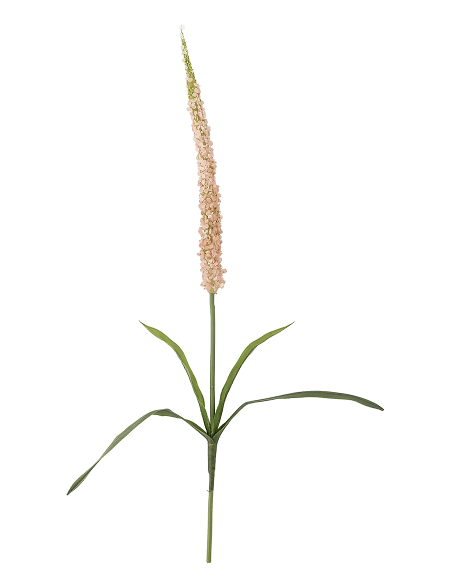 Bloomingville - Foxtail Stem - valentinstaggeschenke - red - 1