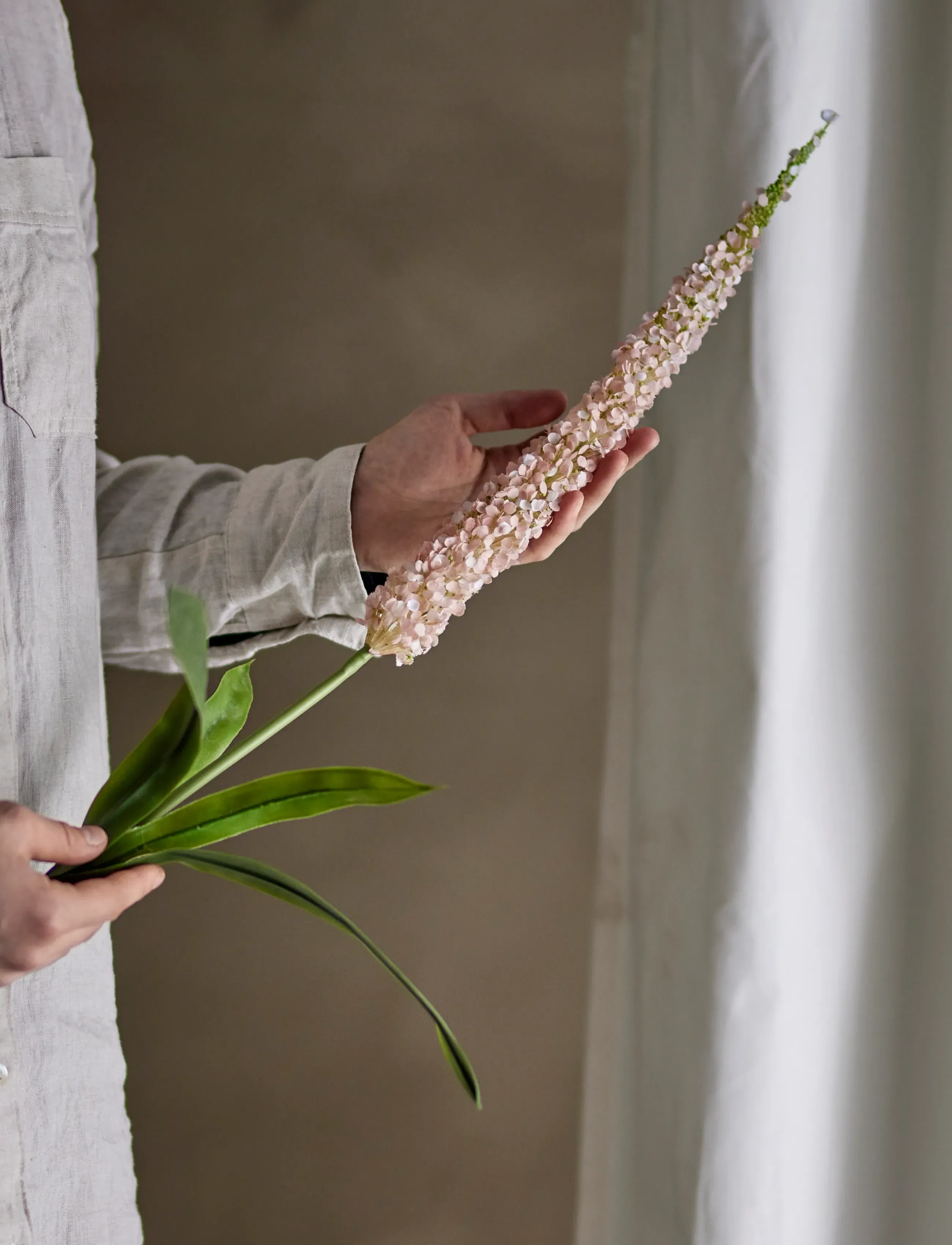 Bloomingville Foxtail Stem, H73 cm, Pink, Decoration > Dried & Fake Flowers, Unisex