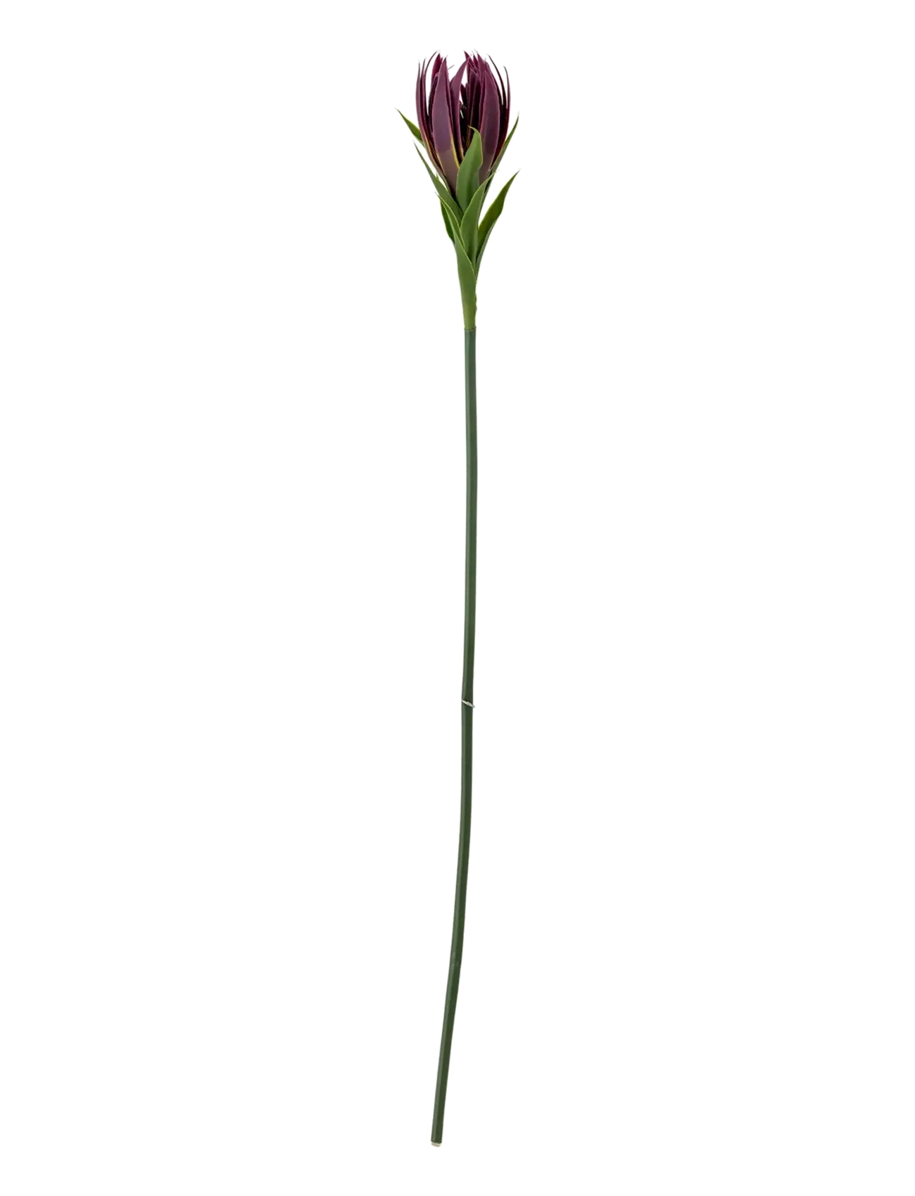 Bloomingville Lily Stem, Dried & Fake Flowers, Lila, Str: H76CM