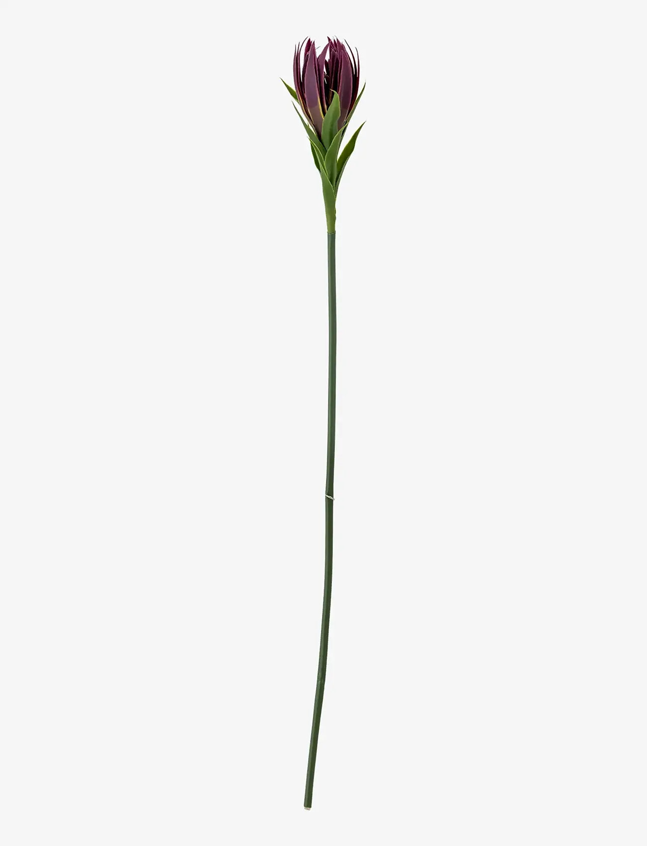 Bloomingville - Lily Stem - valentinstaggeschenke - purple - 1