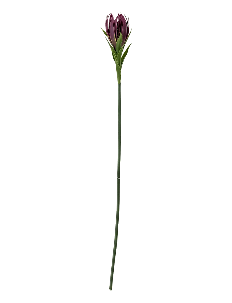 Bloomingville - Lily Stem - valentinstaggeschenke - purple - 1