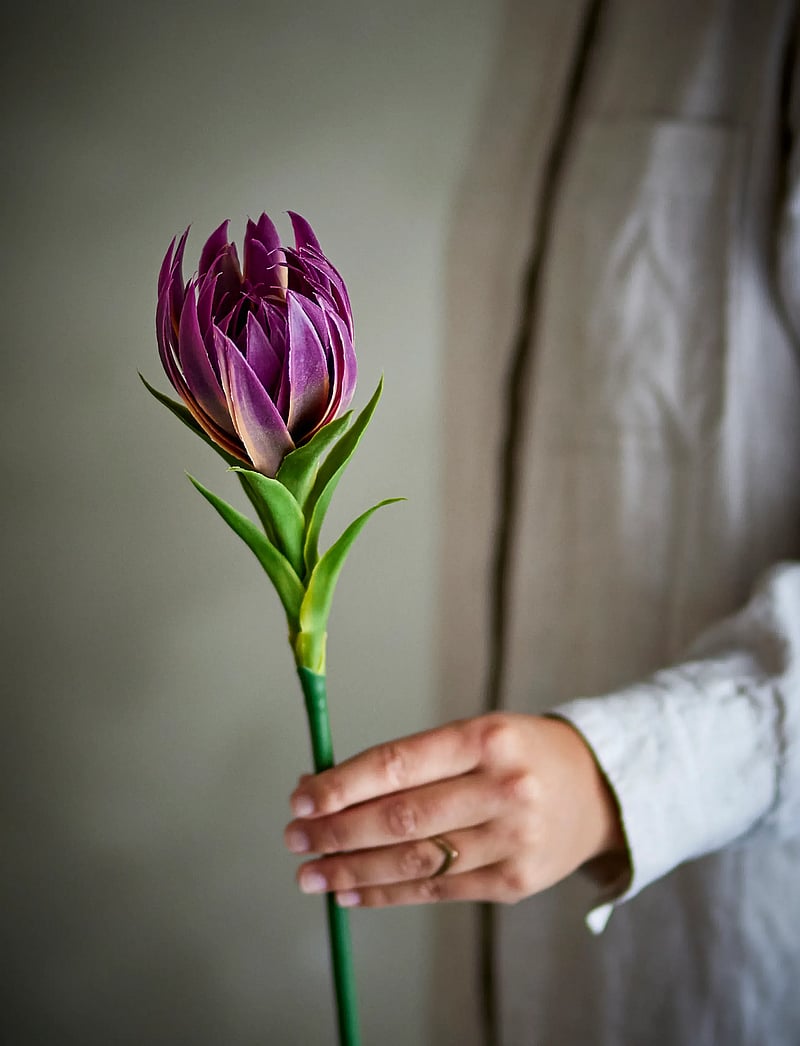 Bloomingville - Lily Stem - valentinstaggeschenke - purple - 0