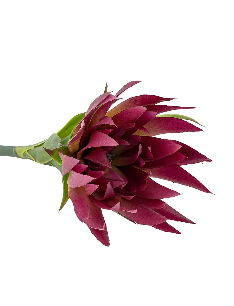 Bloomingville - Lily Stem - valentinstaggeschenke - purple - 3