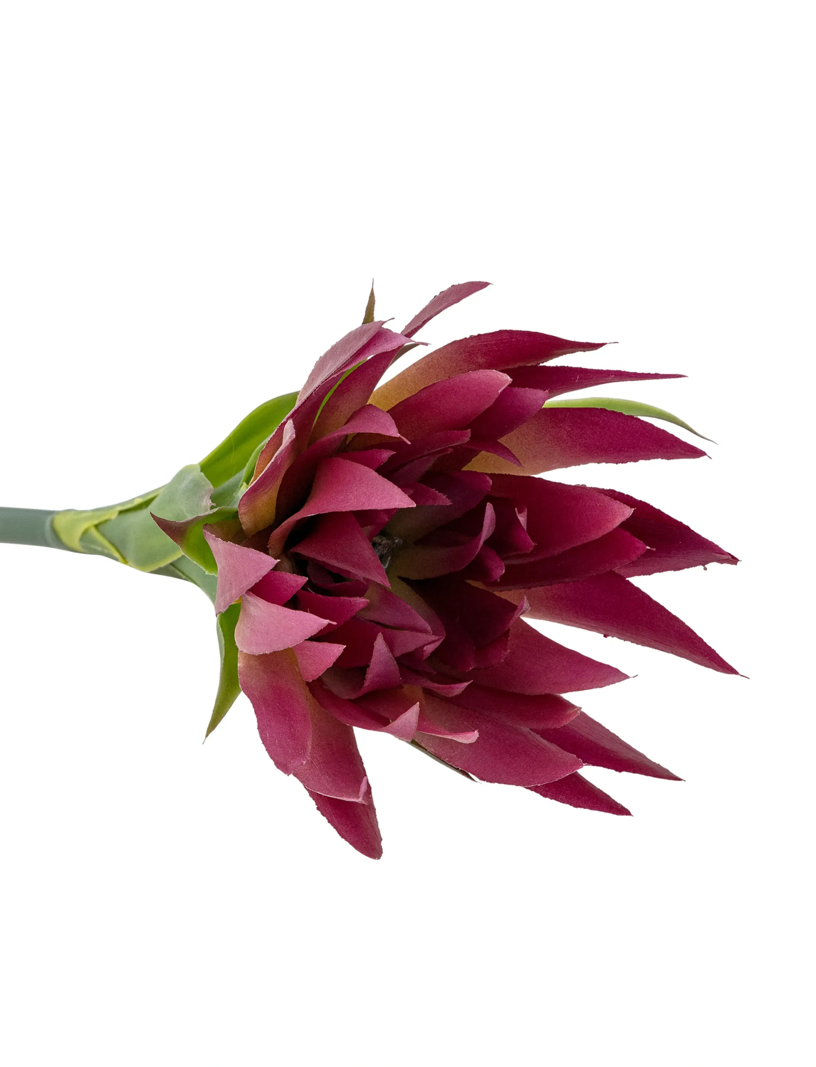 Bloomingville - Lily Stem - valentinsgaver - purple - 3