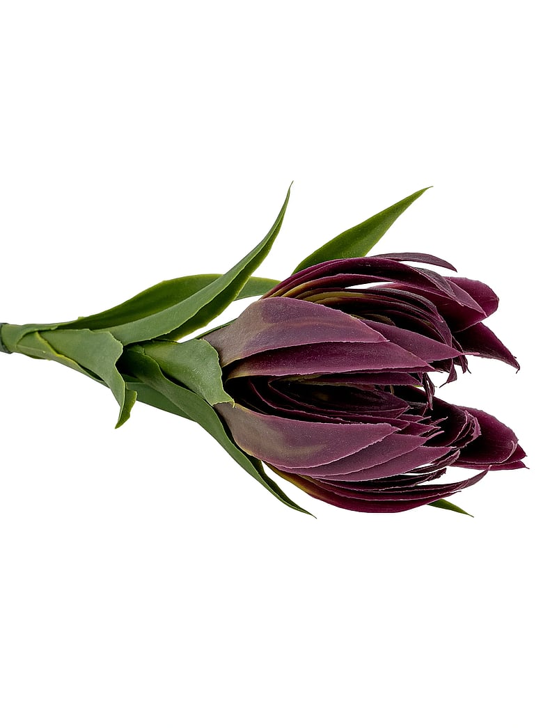 Bloomingville - Lily Stem - valentinstaggeschenke - purple - 4