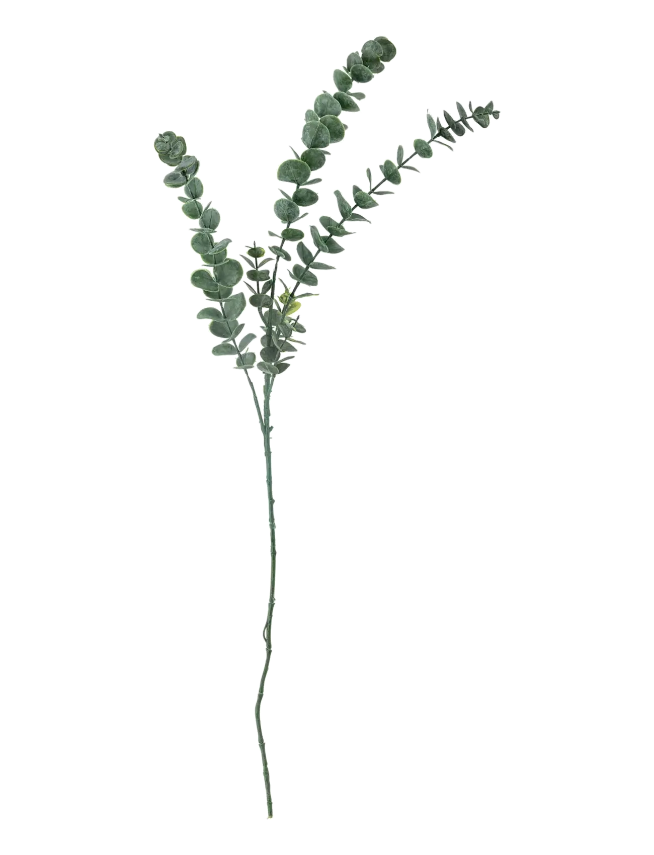 Bloomingville Eucalyptus Stem, Dried & Fake Flowers, Grøn, Str: H76CM