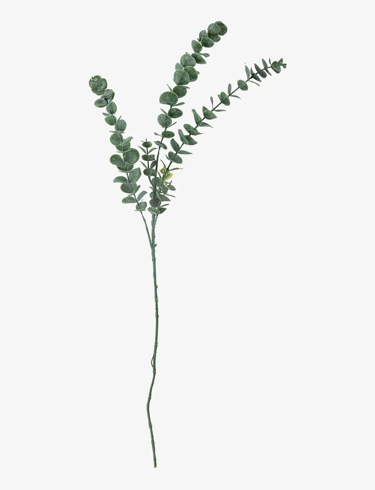 Bloomingville - Eucalyptus Stem - valentinsgaver - green - 1