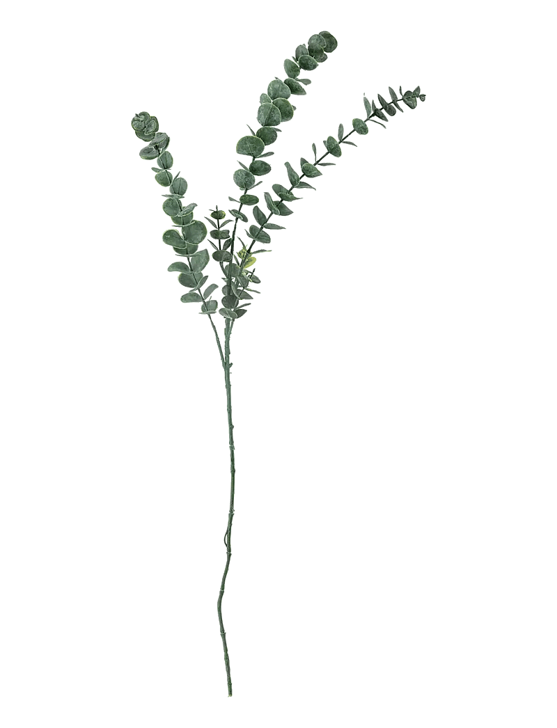 Bloomingville - Eucalyptus Stem - valentinstaggeschenke - green - 1