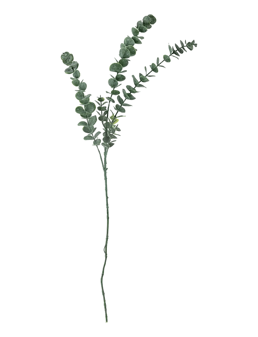 Bloomingville - Eucalyptus Stem - sõbrapäeva kingitused - green - 1