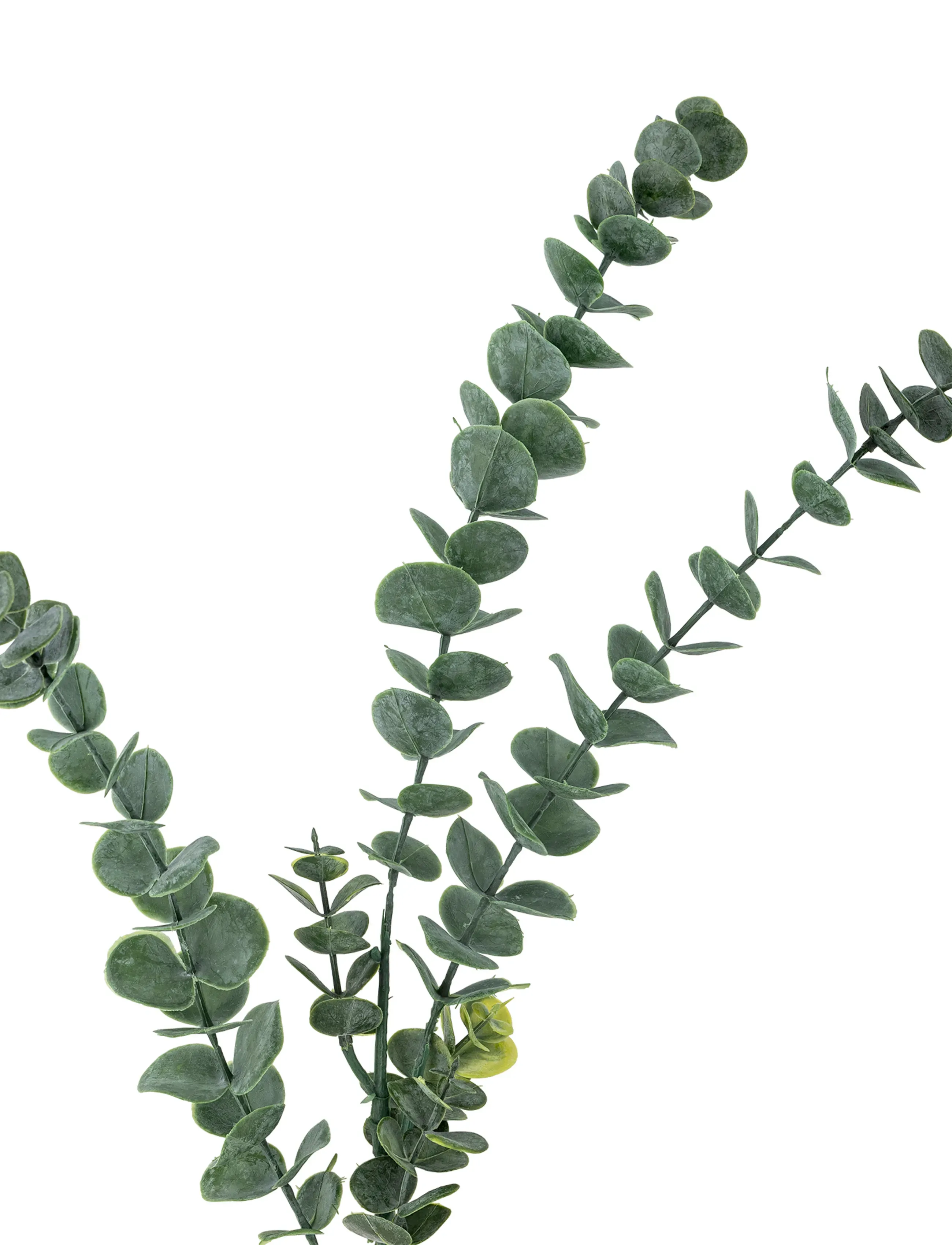 Bloomingville - Eucalyptus Stem - sõbrapäeva kingitused - green - 5
