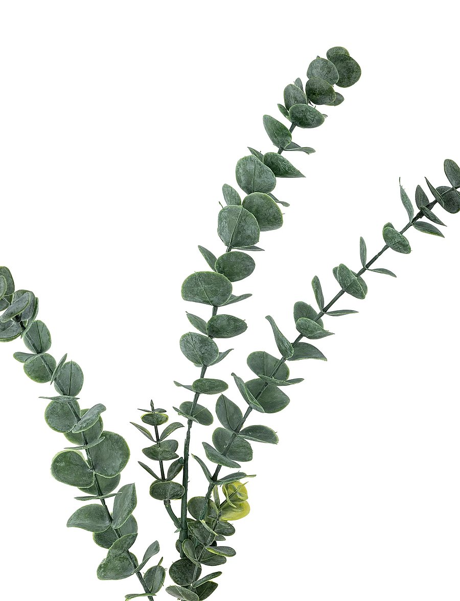 Bloomingville - Eucalyptus Stem - sõbrapäeva kingitused - green - 5