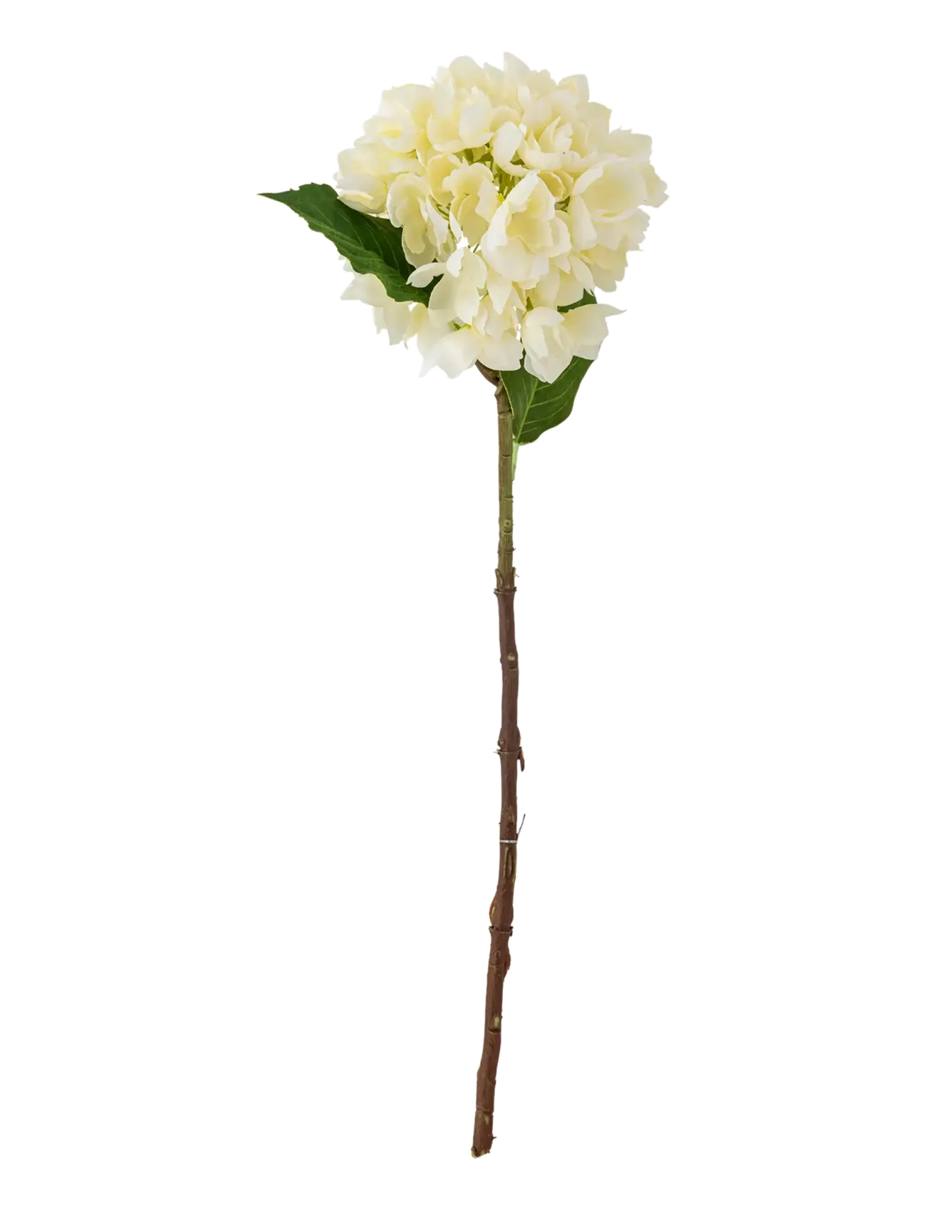 Bloomingville Hydrangea Stem, Dried & Fake Flowers, Hvid, Str: H56CM