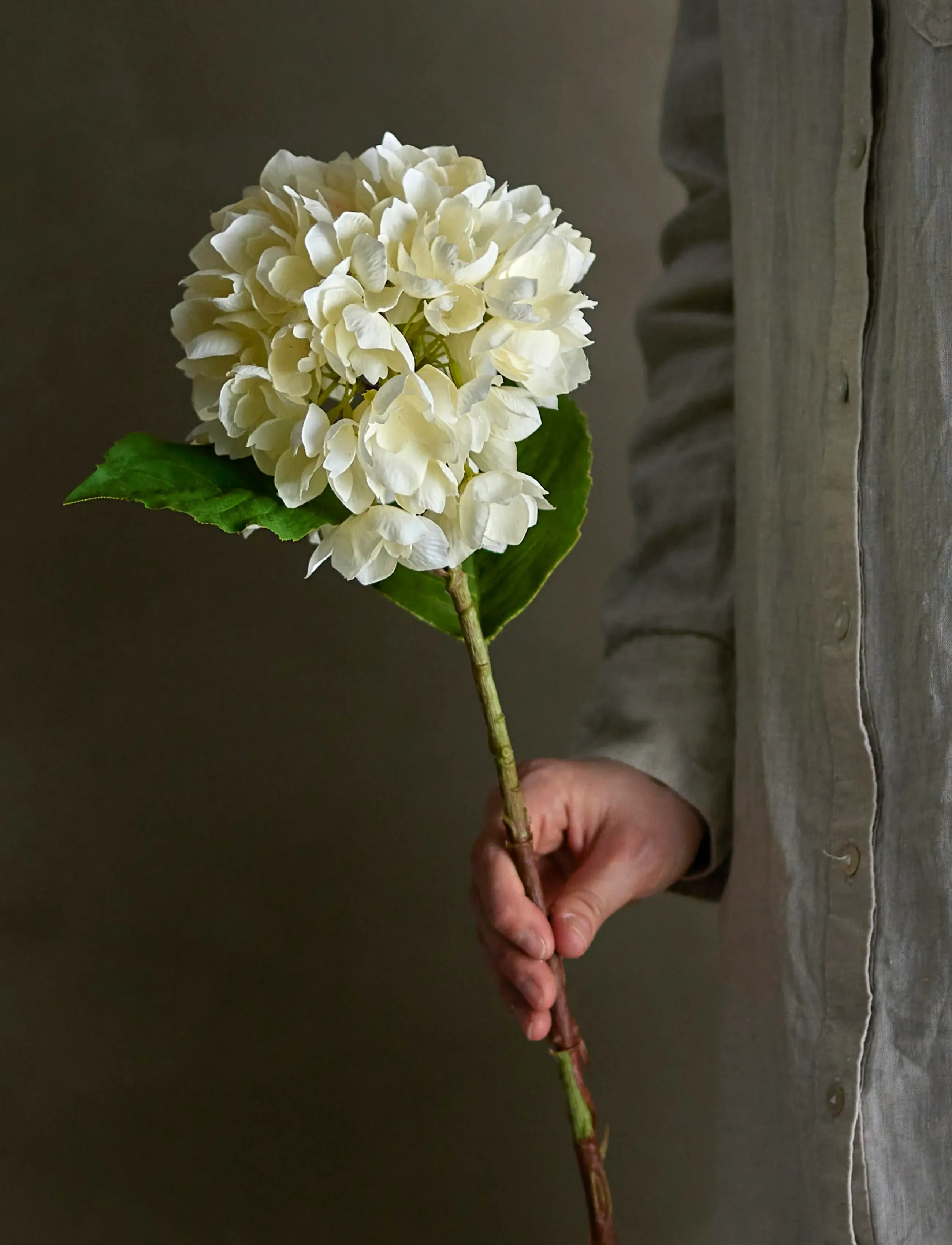 Bloomingville Hydrangea Stem, H56 cm, Decoration, Weiß - Dried & Fake Flowers, Homeware