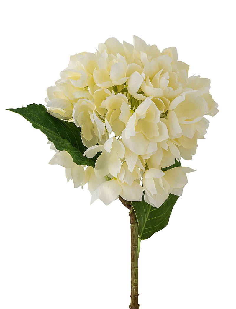 Bloomingville - Hydrangea Stem - valentinstaggeschenke - white - 3