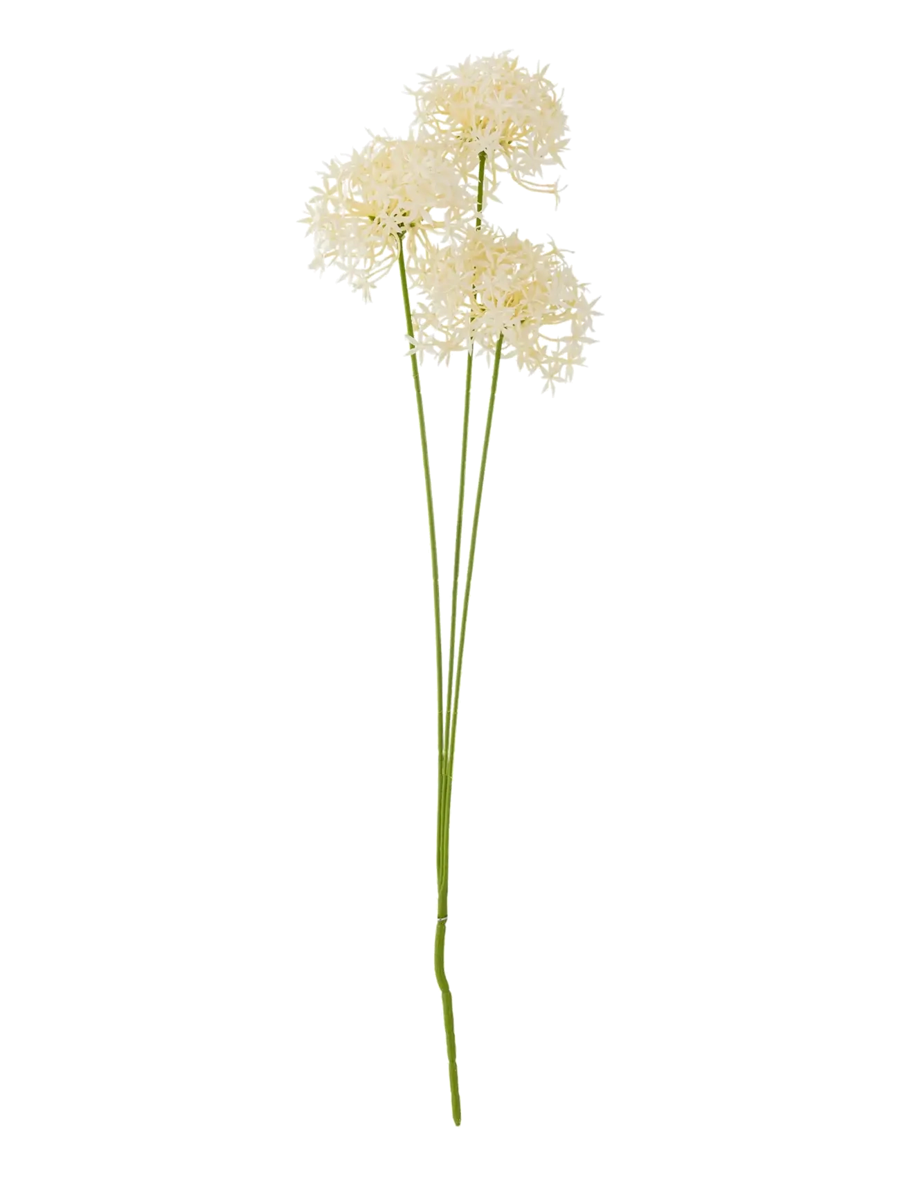 Bloomingville Allium Stem, Dried & Fake Flowers, Hvid, Str: H64CM
