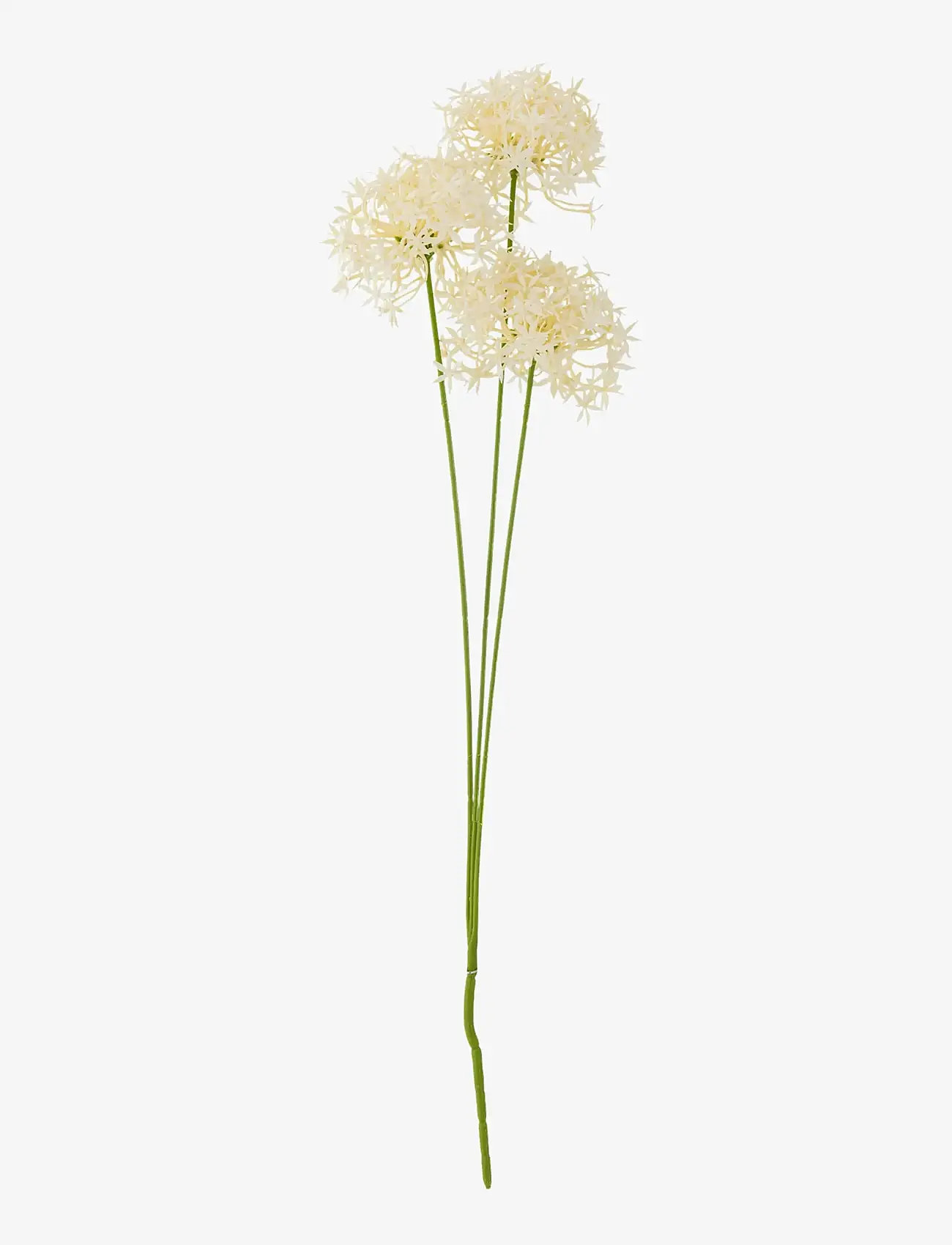 Bloomingville - Allium Stem - alla hjärtans dag-presenter - white - 1