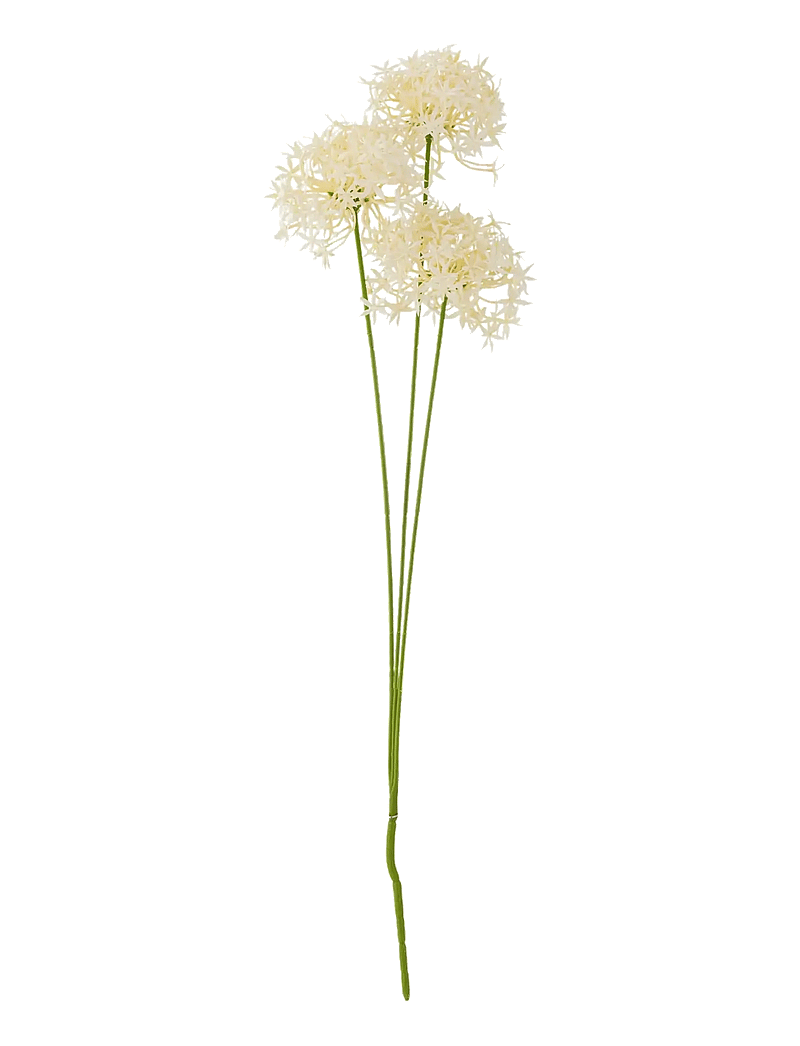 Bloomingville - Allium Stem - valentinstaggeschenke - white - 1
