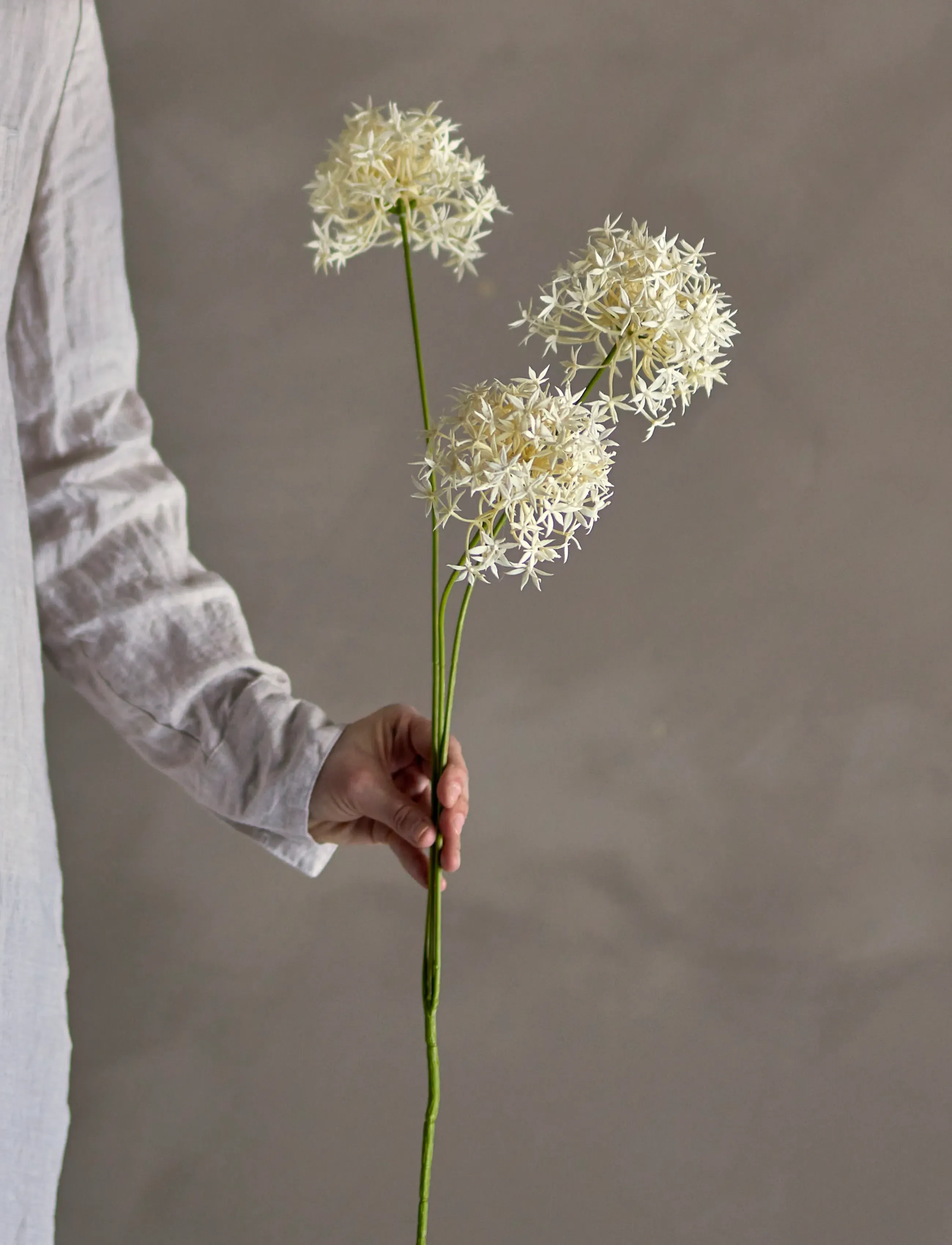 Bloomingville Allium Stem, H64 cm, Decoration, Weiß - Dried & Fake Flowers, Homeware