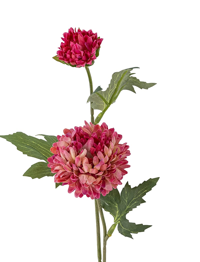 Bloomingville - Chrysantemum Stem - valentinstaggeschenke - red - 5
