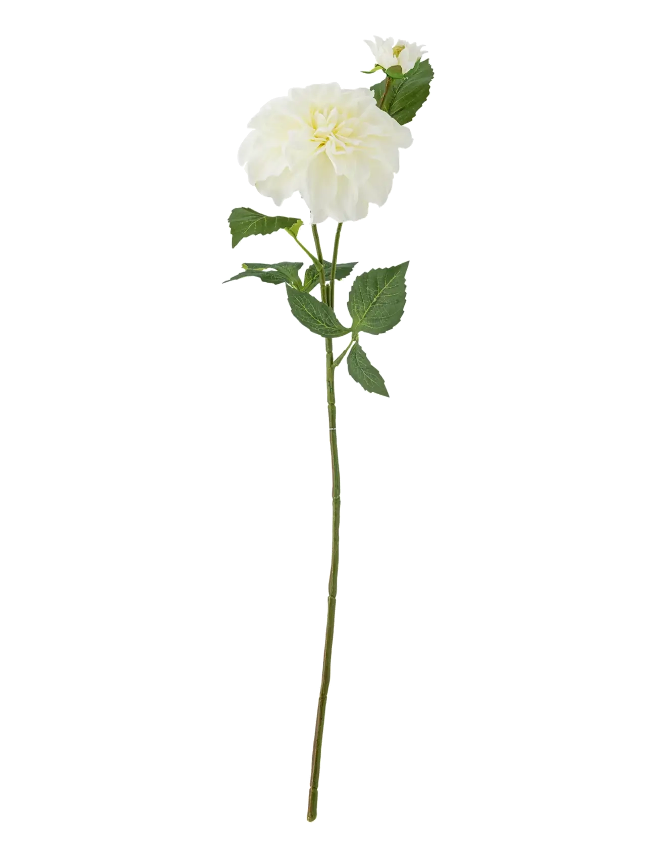Bloomingville Dahlia Stem, Dried & Fake Flowers, Hvid, Str: H64CM