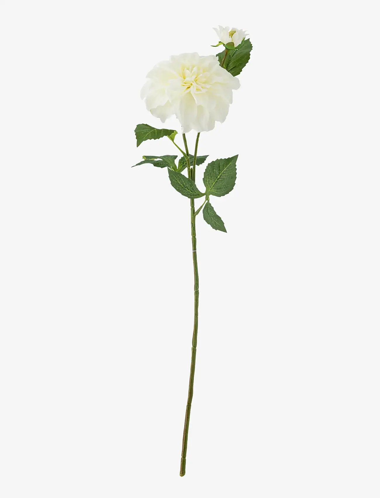 Bloomingville - Dahlia Stem - valentínusargjafir - white - 1