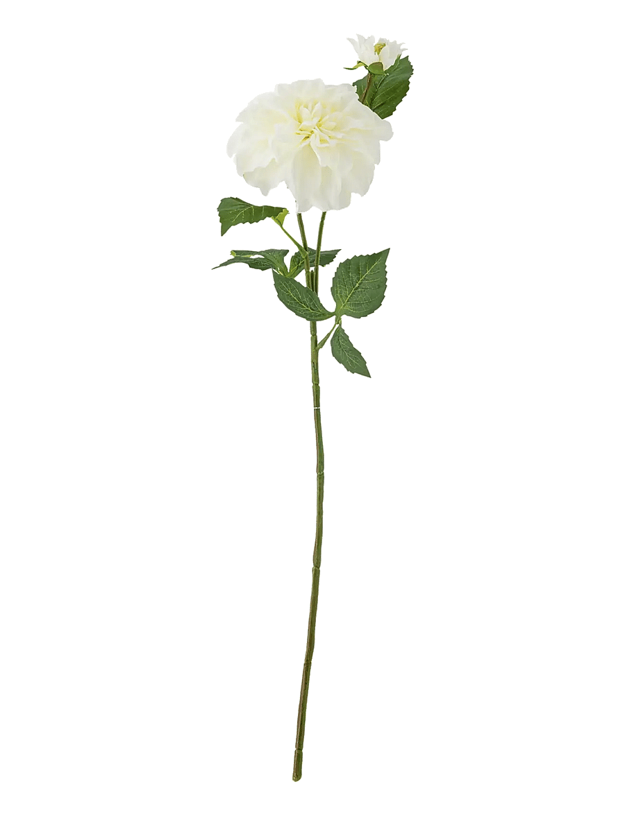Bloomingville - Dahlia Stem - valentinstaggeschenke - white - 1