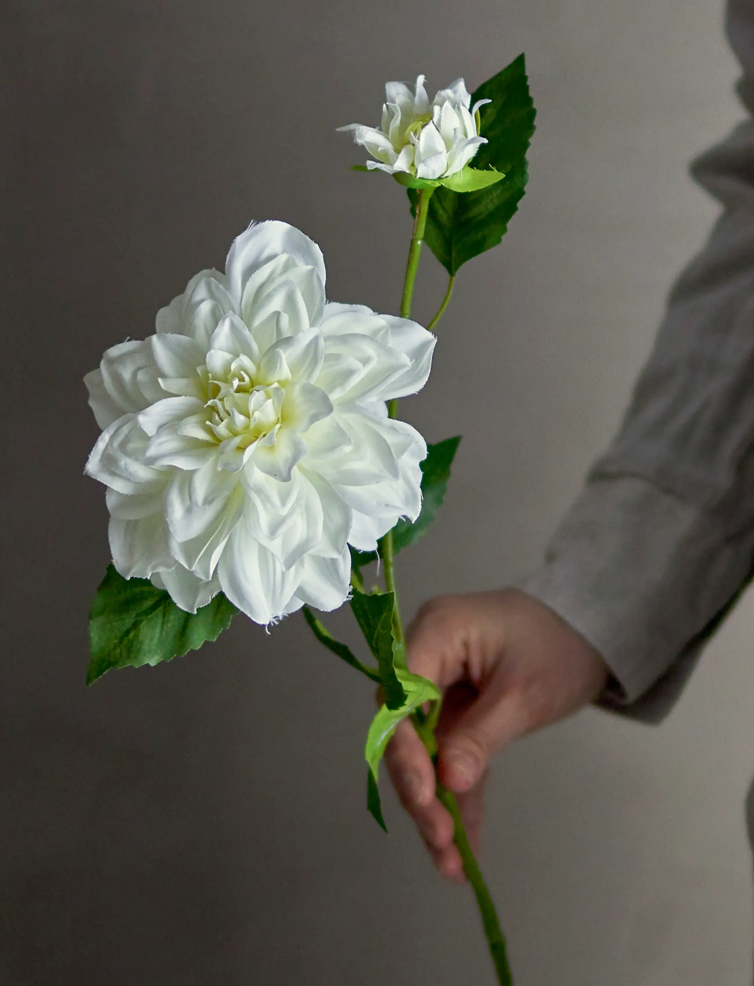 Bloomingville Dahlia Stem, H64 cm, Decoration, Weiß - Dried & Fake Flowers, Homeware