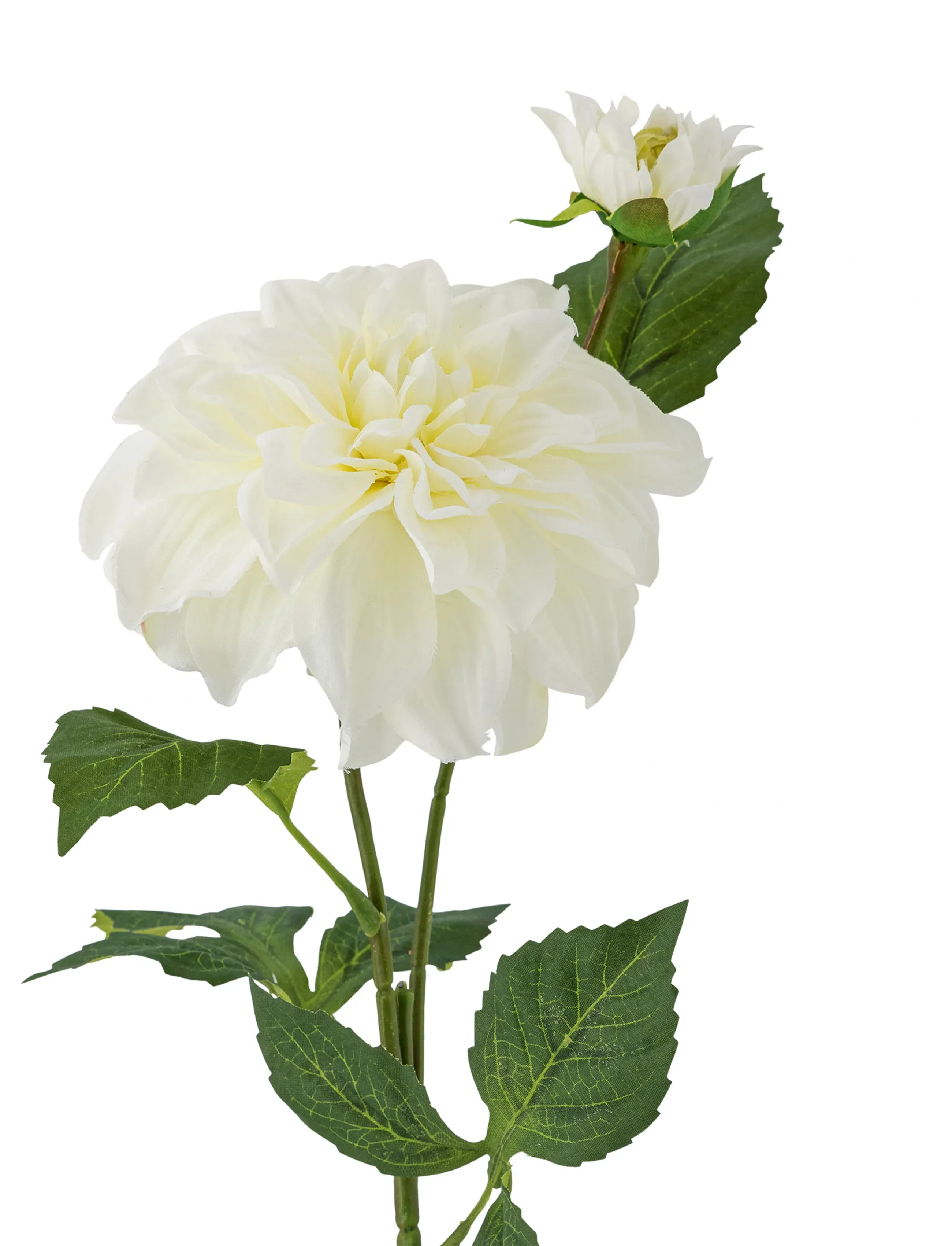 Bloomingville - Dahlia Stem - valentīndienas dāvanas - white - 4