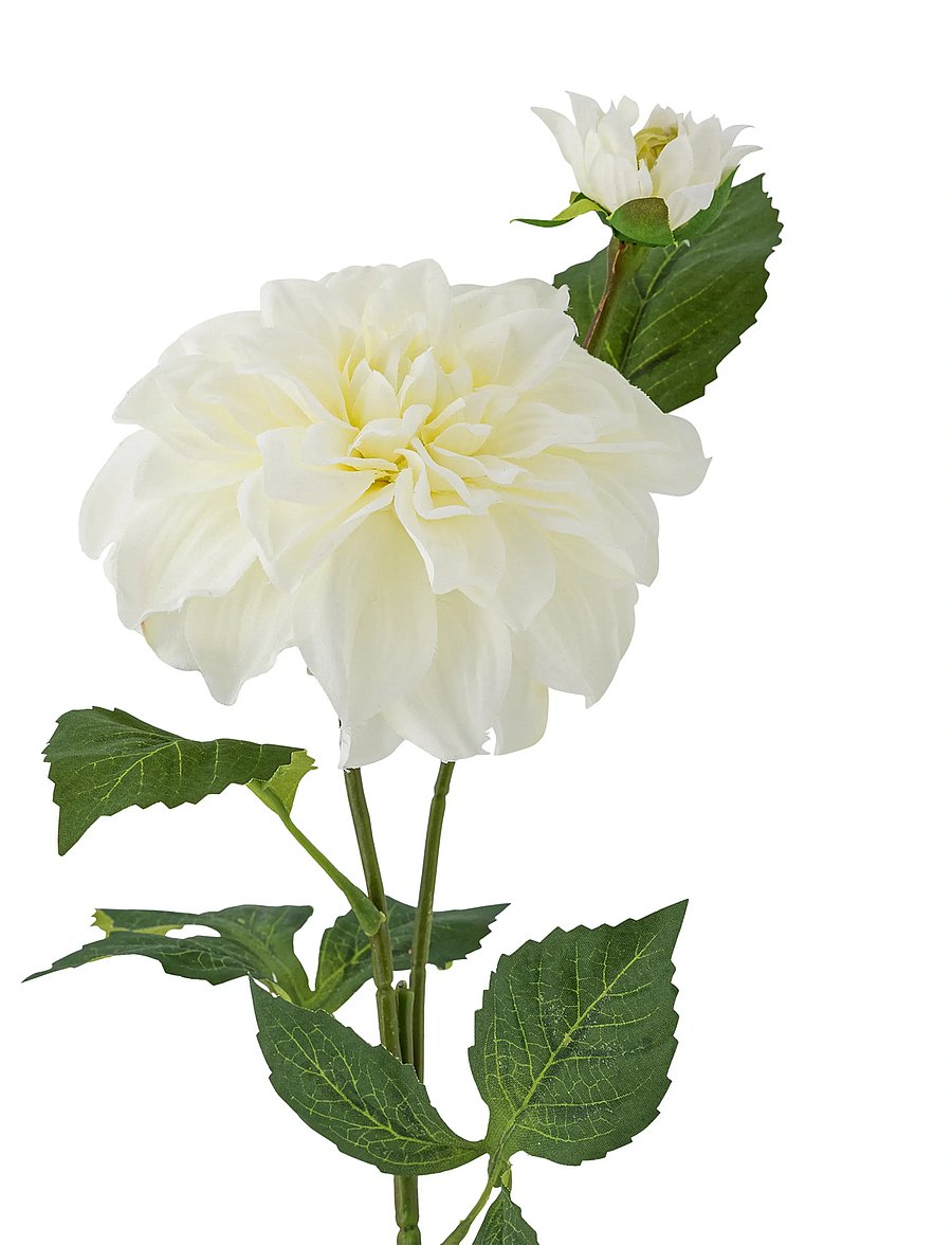 Bloomingville - Dahlia Stem - valentinstaggeschenke - white - 4