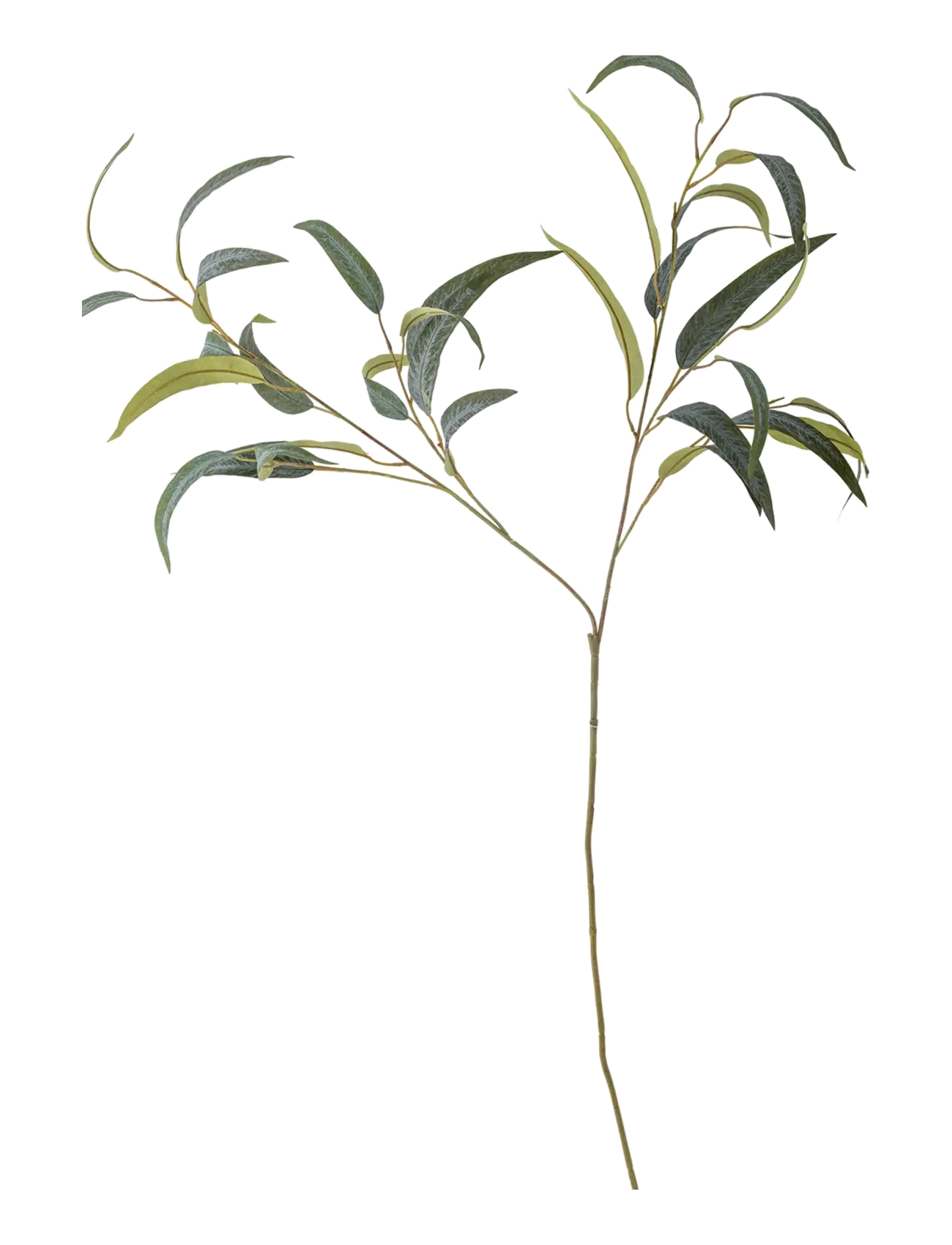 Bloomingville Eucalyptus Stem, Dried & Fake Flowers, Grøn, Str: H101CM