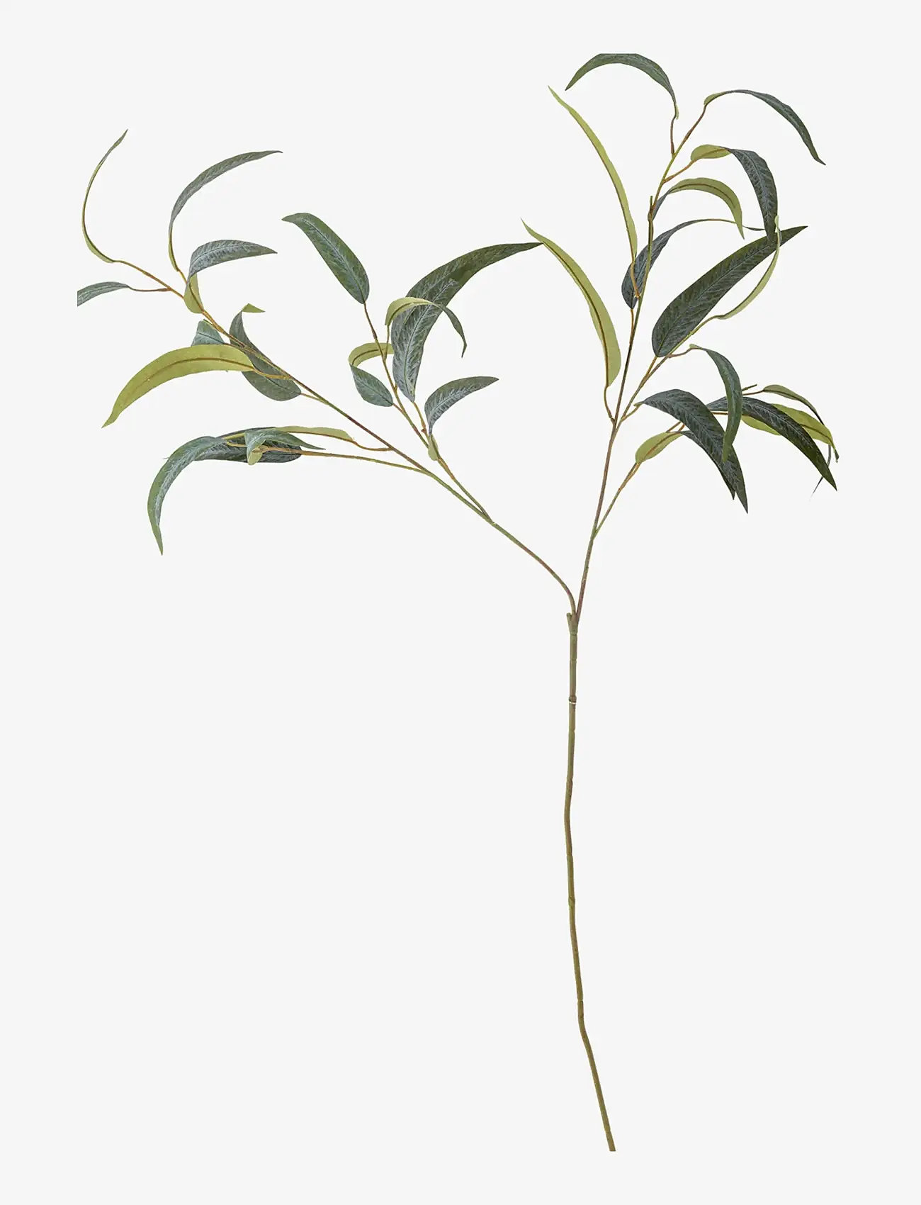 Bloomingville - Eucalyptus Stem - valentinsgaver - green - 1
