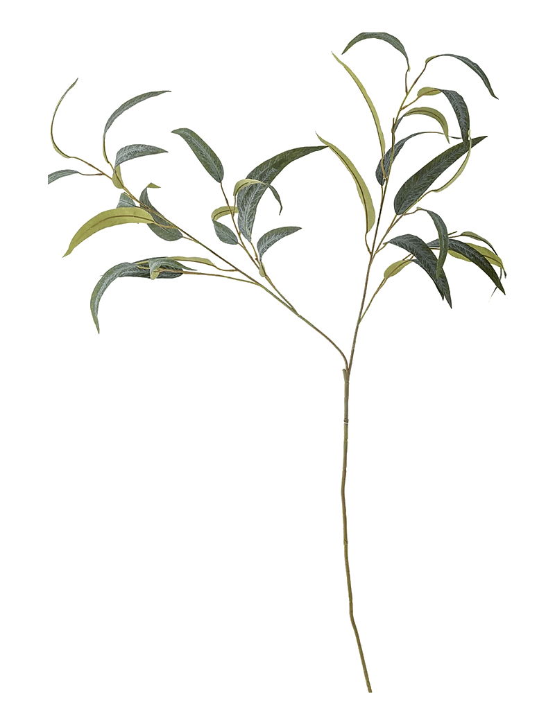 Bloomingville - Eucalyptus Stem - valentinstaggeschenke - green - 1