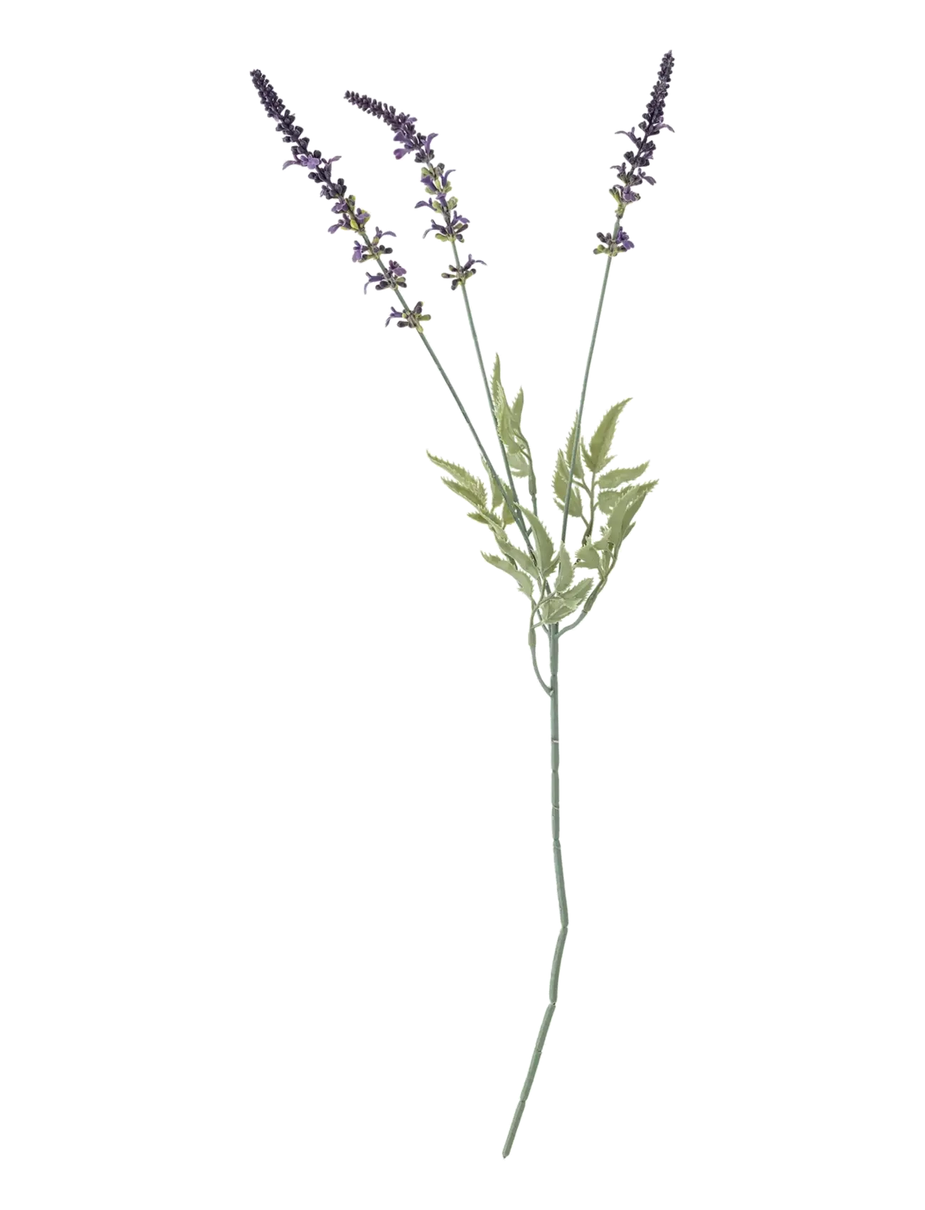 Bloomingville Lavender Stem, Dried & Fake Flowers, Lila, Str: H65CM