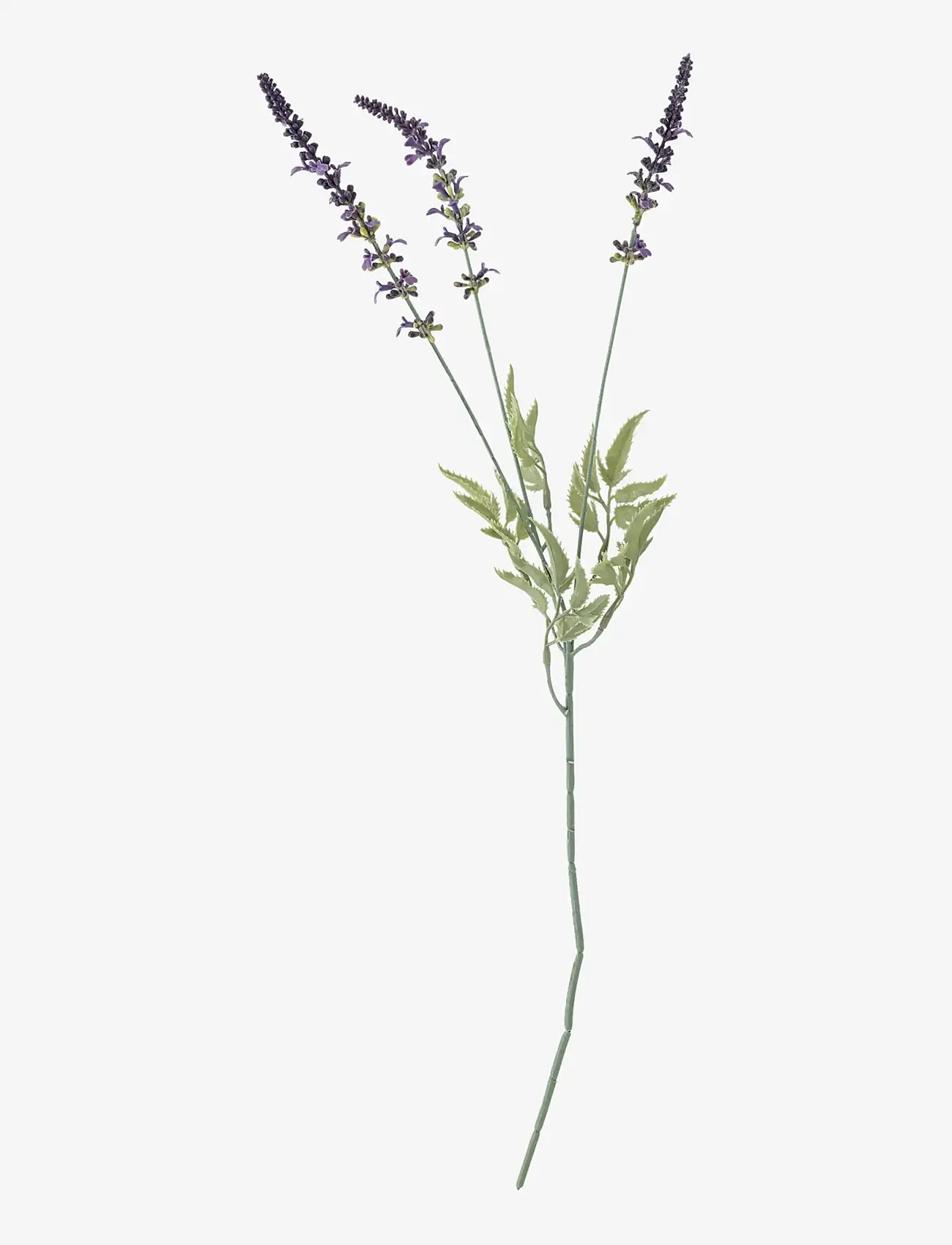 Bloomingville - Lavender Stem - valentines day gifts - purple - 1