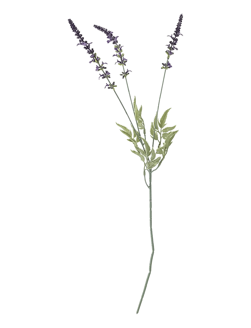 Bloomingville - Lavender Stem - valentines day gifts - purple - 1