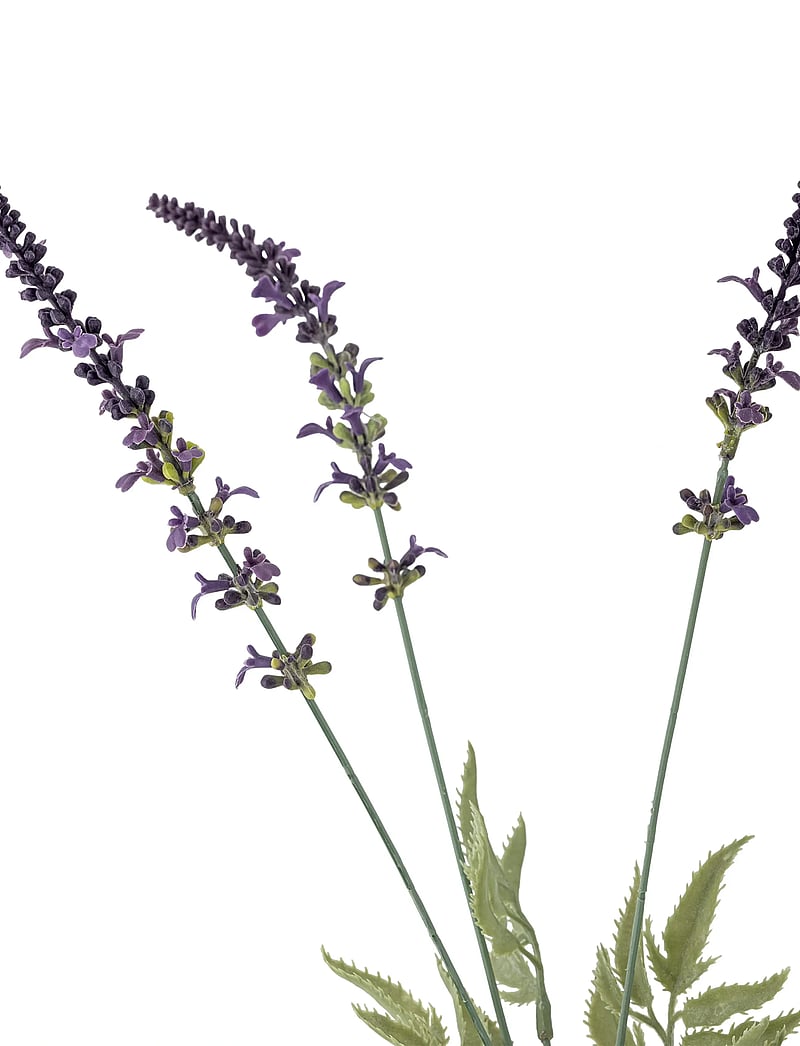 Bloomingville - Lavender Stem - valentines day gifts - purple - 5
