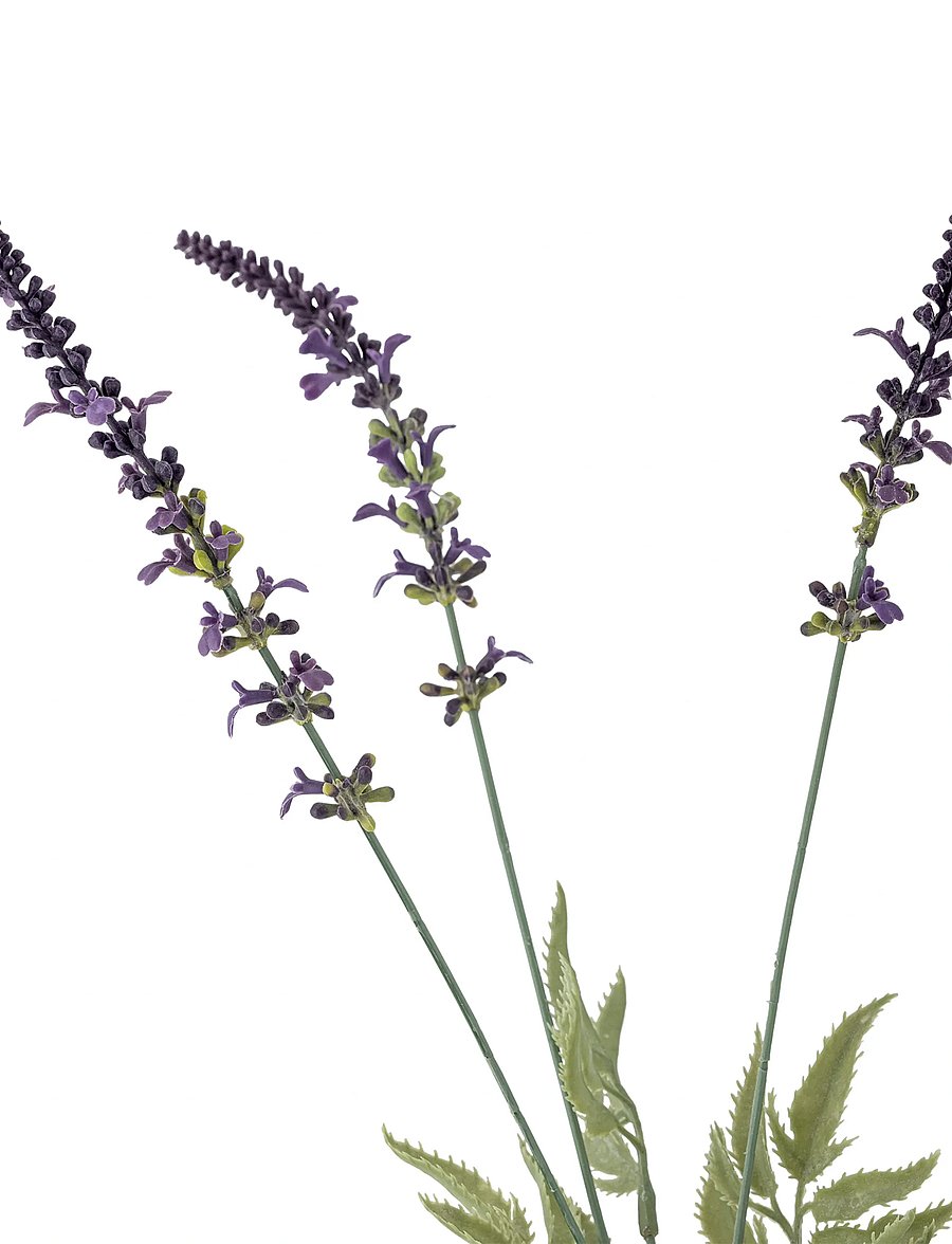 Bloomingville - Lavender Stem - valentinstaggeschenke - purple - 5