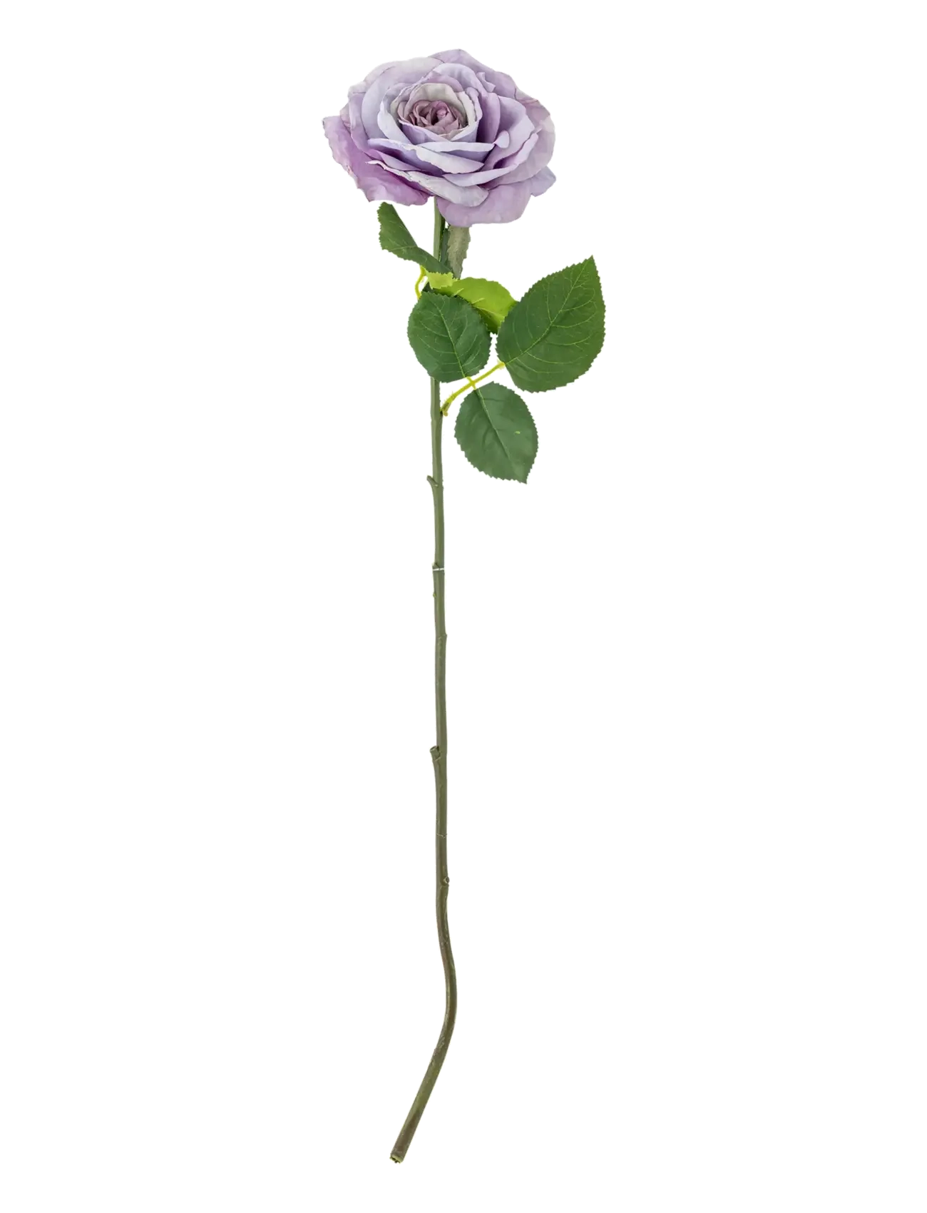 Bloomingville Rose Stem, Dried & Fake Flowers, Lila, Str: H66CM