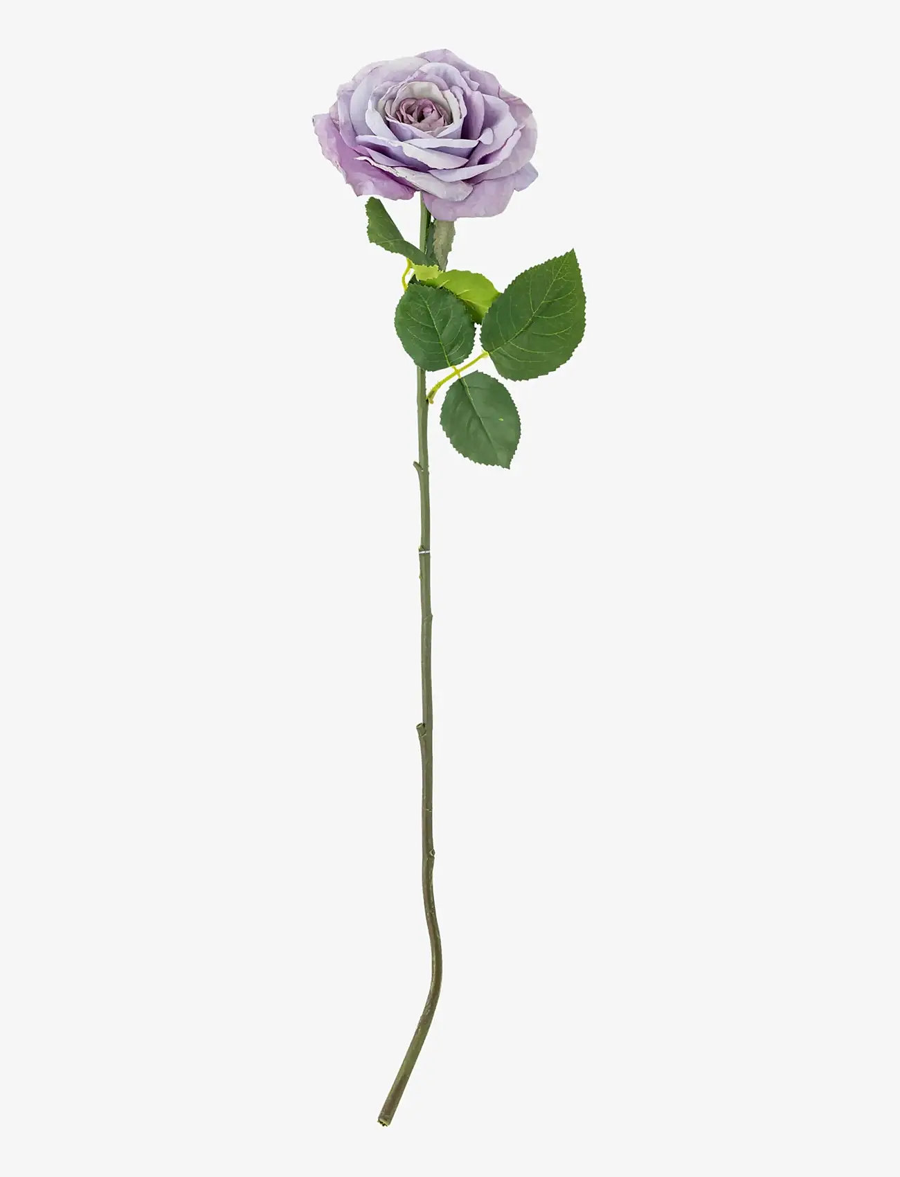 Bloomingville - Rose Stem - valentines day gifts - purple - 1