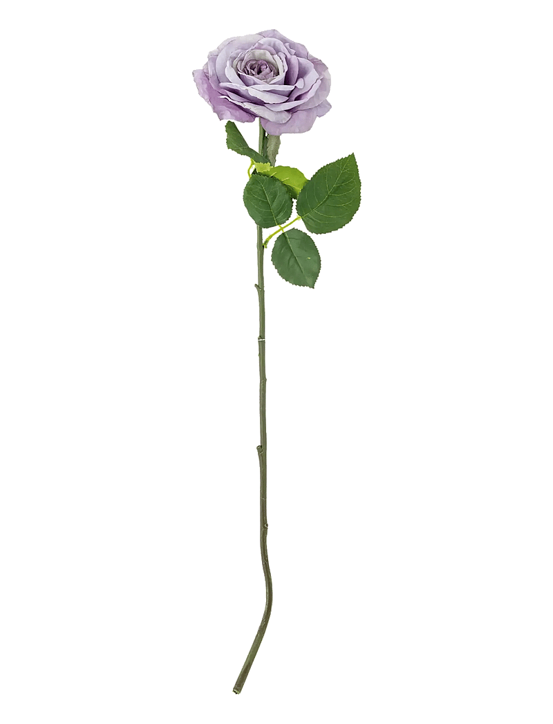 Bloomingville - Rose Stem - sõbrapäeva kingitused - purple - 1