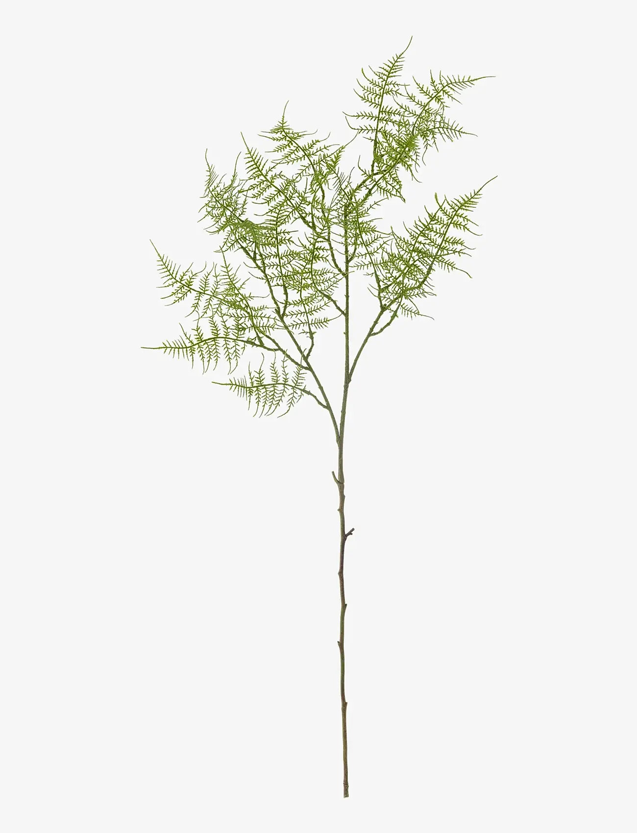 Bloomingville - Fern Stem - ystävänpäivälahjat - green - 0