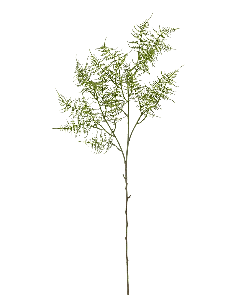 Bloomingville - Fern Stem - ystävänpäivälahjat - green - 0