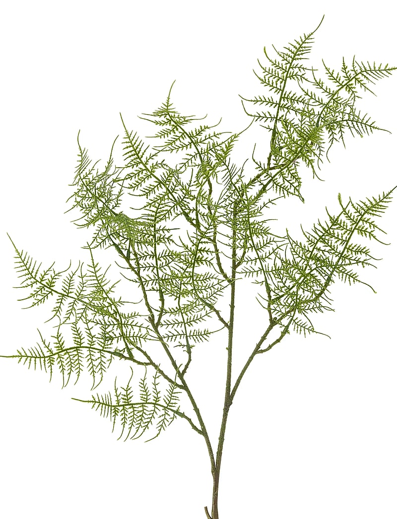 Bloomingville - Fern Stem - ystävänpäivälahjat - green - 5