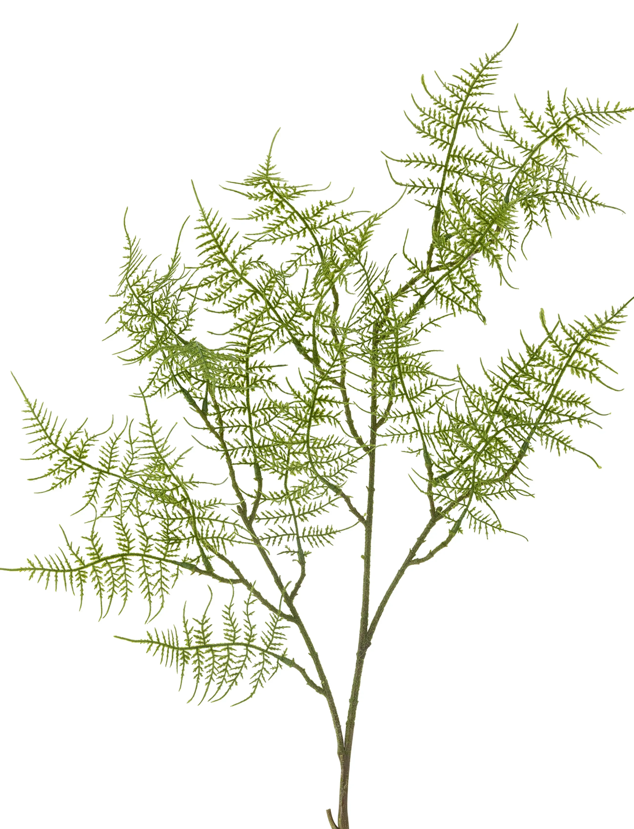 Bloomingville - Fern Stem - ystävänpäivälahjat - green - 5